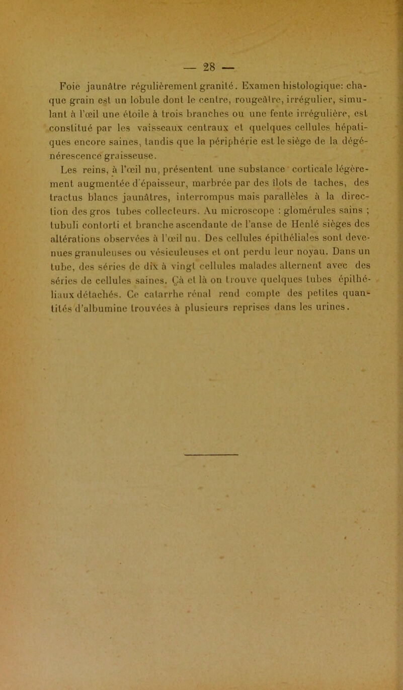 Foie jaunâtre régulièrement granité. Examen histologique: cha- que grain est un lobule dont le centre, rougeâtre, irrégulier, simu- lant à l’œil une étoile à trois branches ou une fente irrégulière, est constitué par les vaisseaux centraux et quelques cellules hépati- ques encore saines, tandis que la périphérie est le siège de la dégé- nérescence graisseuse. Les reins, à l’œil nu, présentent une substance corticale légère- ment augmentée d’épaisseur, marbrée par des îlots de taches, des tractus blancs jaunâtres, interrompus mais parallèles à la direc- tion des gros tubes collecteurs. Au microscope : glomérules sains ; tubuli contorti et branche ascendante de l’anse de llcnlé sièges des altérations observées à l'œil nu. Des cellules épithéliales sont deve- nues granuleuses ou vésiculeuses et ont perdu leur noyau. Dans un tube, des séries de dix à vingt cellules malades alternent avec des séries de cellules saines. Çà et là on trouve quelques tubes épithé- liaux détachés. Ce catarrhe rénal rend compte des petites quan- tités d’albumine trouvées à plusieurs reprises dans les urines.