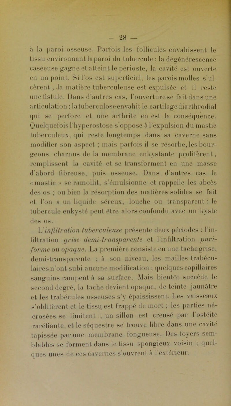 à la paroi osseuse. Parfois les follicules envahissenl le tissu envirouuaul la paroi du lubercule ; la dt^^généresceuce easéeuse gagne elallciul le périoste, la cavité est ouverte en un |)oinl. Si l’os est superficiel, les parois molles s'ul- cèrent ,-la matière tuberculeuse est expulsée et il reste une listule. Dans d’autres cas, l’ouverturese fait dans une articulation ; la tuberculosi;envahit le carlilagediarthrodial qui se perfore et une arthrite en est la conséquence. Ouelquefois l’hy|)erostose s’oppose à l’expulsion du mastic tuberculeux, rpii reste longtemps dans sa caverne sans niodilier son as|iecl : mais |»arfois il se résorbe, les bour- geons charnus de la membrane enkystante prolifèrent , remplissent la cavité et .se transforment en une masse d’abord fibreuse, puis osseuse. Dans d’autres cas le «mastic <> se ramollit, s’émulsioniie et rajqielle les abcès des os ; ou bien la résorption des matières solides se fait et l’on a un liquide séreux, louche ou transparent : le tubercule enkysté peut être alors confoiuln avec un kyste des os. X'inlillralion liiherculeuse présente deux périodes : l’in- liltratioii (jrise demi-lrarisjiarenle et l’inliltralion piiri- formeow ojxKjiie. La |)remièrc consiste en une tachegrise, demi-transparente ; à son niveau, les mailles trabécu- laires n'ont subi aucuiu'modilication ; ipichpies capillaires sanguins rampent à sa surface. Mais bientôt succède le second degré, la tache devient opa(|uc, de teinte jaunâtre (‘t les trabécules osseuses s’y éjiaississent. Le.> vaisseau.x s’oblitèrent et le tissu est frap|)é de mort ; les parties né- crosées se limitent ; un sillon est creusé jiar l’ostéite rai’élianle, et le séquestre se trouve libi'e dans une cavité tapissée par une membrane fongueuse. Des loyers sem- blables se forment dans le tissu spongieux voisin ; qnel- (|ues unes de ces cavernes s’ouvrent à l’extérieur.