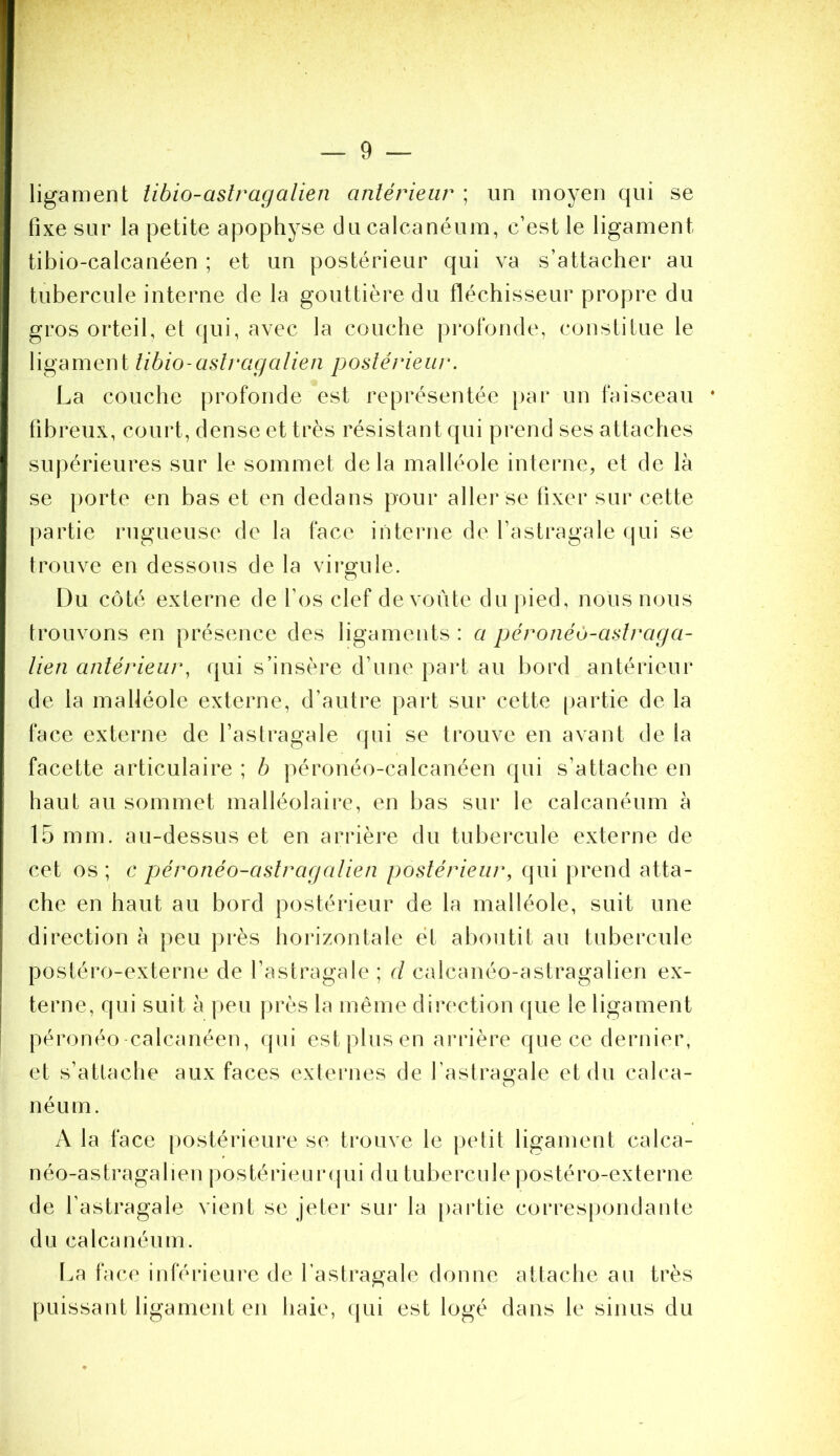 ligament libio-astragalien antérieur ; un moyen qui se fixe sur la petite apophyse du calcanéum, c’est le ligament tibio-calcanéen ; et un postérieur qui va s’attacher au tubercule interne de la gouttière du fléchisseur propre du gros orteil, et qui, avec la couche profonde, constitue le ligament libio-aslragalien postérieur. La couche profonde est représentée jiar un faisceau fibreux, court, dense et très résistant qui prend ses attaches supérieures sur le sommet delà malléole interne, et de là se porte en bas et en dedans pour aller se fixer sur cette jiartie rugueuse de la face interne de l’astragale qui se trouve en dessous de la virgule. Du côté externe de l’os clef de voûte du pied, nous nous trouvons en présence des ligaments : a péronéo-astraga- lien antérieur, qui s’insère d’une part au bord antérieur de la malléole externe, d’autre part sur cette partie de la face externe de l’astragale qui se trouve en avant de la facette articulaire ; b péronéo-calcanéen qui s’attache en haut au sommet malléolaire, en bas sur le calcanéum à 15 mm. au-dessus et en arrière du tubercule externe de cet os ; c péronéo-astragalien postérieur, qui prend atta- che en haut au bord postérieur de la malléole, suit une direction à peu près horizontale et aboutit au tubercule postéro-externe de l’astragale ; d calcanéo-astragalien ex- terne, qui suit à peu près la même direction fjue le ligament péronéo calcanéen, qui est plus en arrière que ce dernier, et s’attache aux faces externes de fastragale et du calca- néum. A la face postérieure se trouve le petit ligament calca- n éo-a s tra ga 11 en j) o s té ri e u r ( pi i d u tu b e r c ii 1 e | j o s té ro-ex terne de l’astragale vient se jeter sur la partie correspondante du calcanéum. I^a face inférieure de l’astragale donne attache au très puissant ligament en haie, qui est logé dans le sinus du