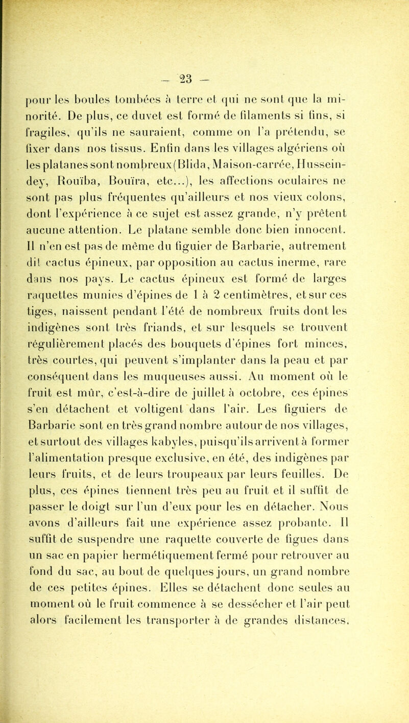 pour les boules ioinbées à terre et qui ne sont que la mi- norité. De plus, ce duvet est formé de filaments si lins, si fragiles, qifils ne sauraient, comme on l’a prétendu, se fixer dans nos tissus. Enfin dans les villages algériens où les platanes sont nombreux(Blida, Maison-carrée, Hussein- dey, Rouïba, Bouïra, etc,..), les affections oculaires ne sont pas plus fréquentes qu’ailleurs et nos vieux colons, dont l’expérience à ce sujet est assez grande, n’y prêtent aucune attention. Le platane semble donc bien innocent. Il n’en est pas de même du figuier de Barbarie, autrement dit cactus épineux, par opposition au cactus inerme, rare dans nos pays. Le cactus épineux est formé de larges raquettes munies d’épines de 1 à 2 centimètres, et sur ces tiges, naissent pendant l’été de nombreux fruits dont les indigènes sont très friands, et sur lesquels se trouvent régulièrement placés des bouquets d’épines fort minces, très courtes, qui peuvent s’implanter dans la peau et par conséquent dans les muqueuses aussi. Au moment où le fruit est mûr, c’est-à-dire de juillet à octobre, ces épines s’en détachent et voltigent dans l’air. Les figuiers de Barbarie sont en très grand nombre autour de nos villages, et surtout des villages kabyles, puisqu’ils arrivent à former l’alimentation presque exclusive, en été, des indigènes par leurs fruits, et de leurs troupeaux par leurs feuilles. De plus, ces épines tiennent très peu au fruit et il suffit de passer le doigt sur l’iin d’eux pour les en détacher. Nous avons d’ailleurs fait une expérience assez probante. Il suffit de suspendre une raquette couverte de figues dans un sac en papier hermétiquement fermé pour retrouver au fond du sac, au bout de quelques jours, un grand nombre de ces petites épines. Elles se détachent donc seules au moment où le fruit commence à se dessécher et l’air peut alors facilement les transporter à de grandes distances.