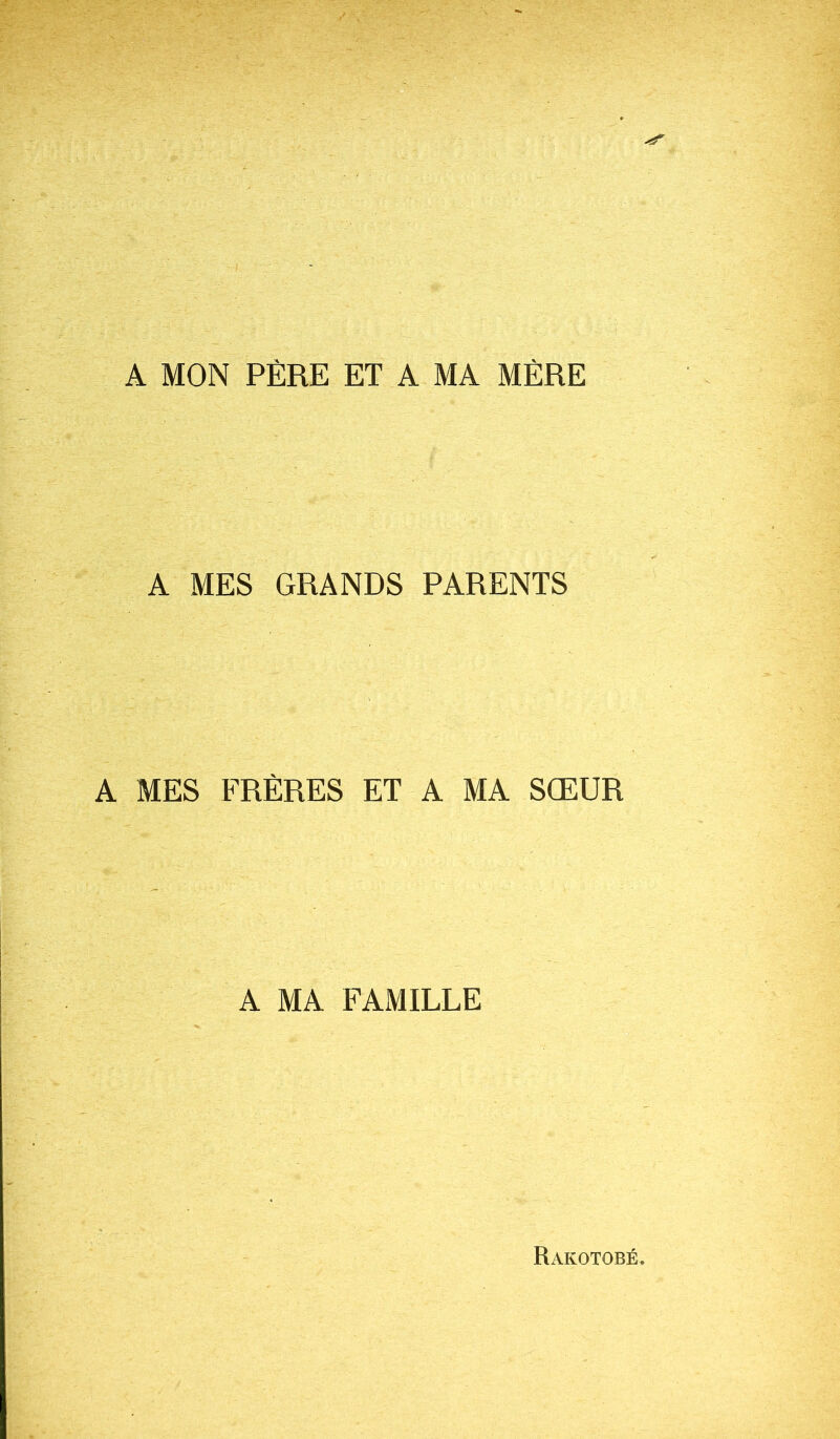 A MON PÈRE ET A MA MÈRE A MES GRANDS PARENTS A MES FRÈRES ET A MA SŒUR A MA FAMILLE