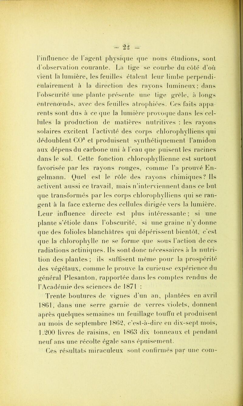 l'influence de l’agent physique que nous étudions, sont d’observation courante. La tige se courbe du côté d’où vient la lumière, les feuilles étalent leur limbe perpendi- culairement à la direction des rayons lumineux; dans l’obscurité une plante présente une tige grêle, à longs en t renœud s, avec des feuilles atrophiées. Ces faits appa rents sont dus à ce que la lumière provoque dans les cel- lules la production de matières nutritives : les rayons solaires excitent l’activité des corps chlorophylliens qui dédoublent GO2 et produisent synthétiquement l’amidon aux dépens du carbone uni à l’eau que puisent les racines dans le sol. Cette fonction chlorophyllienne est surtout favorisée par les rayons rouges, comme l’a prouvé En- gelmann. Quel est le rôle des rayons chimiques? Ils activent aussi ce travail, mais n’interviennent dans ce but que transformés par les corps chlorophylliens qui se ran- gent à la face externe des cellules dirigée vers la lumière. Leur influence directe est plus intéressante ; si une plante s’étiole dans l’obscurité, si une graine n’y donne que des folioles blanchâtres qui dépérissent bientôt, c’est que la chlorophylle ne se forme que sous l’action de ces radiations actiniques. Ils sont donc nécessaires à la nutri- tion des plantes ; ils suffisent même pour la prospérité des végétaux, comme le prouve la curieuse expérience du général Plesanton, rapportée dans les comptes rendus de l’Académie des sciences de 1871 : Trente boutures de vignes d’un an, plantées en avril 1861, dans une serre garnie de verres violets, donnent après quelques semaines un feuillage touffu et produisent au mois de septembre 1862, c’est-à-dire en dix-sept mois, 1.200 livres de raisins, en 1863 dix tonneaux et pendant neuf ans une récolte égale sans épuisement. Ces résultats miraculeux sont confirmés par une com-