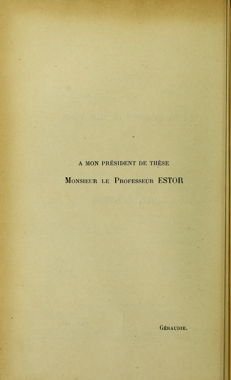 A MON PRÉSIDENT DE THÈSE Monsieur le Professeur ESTOR