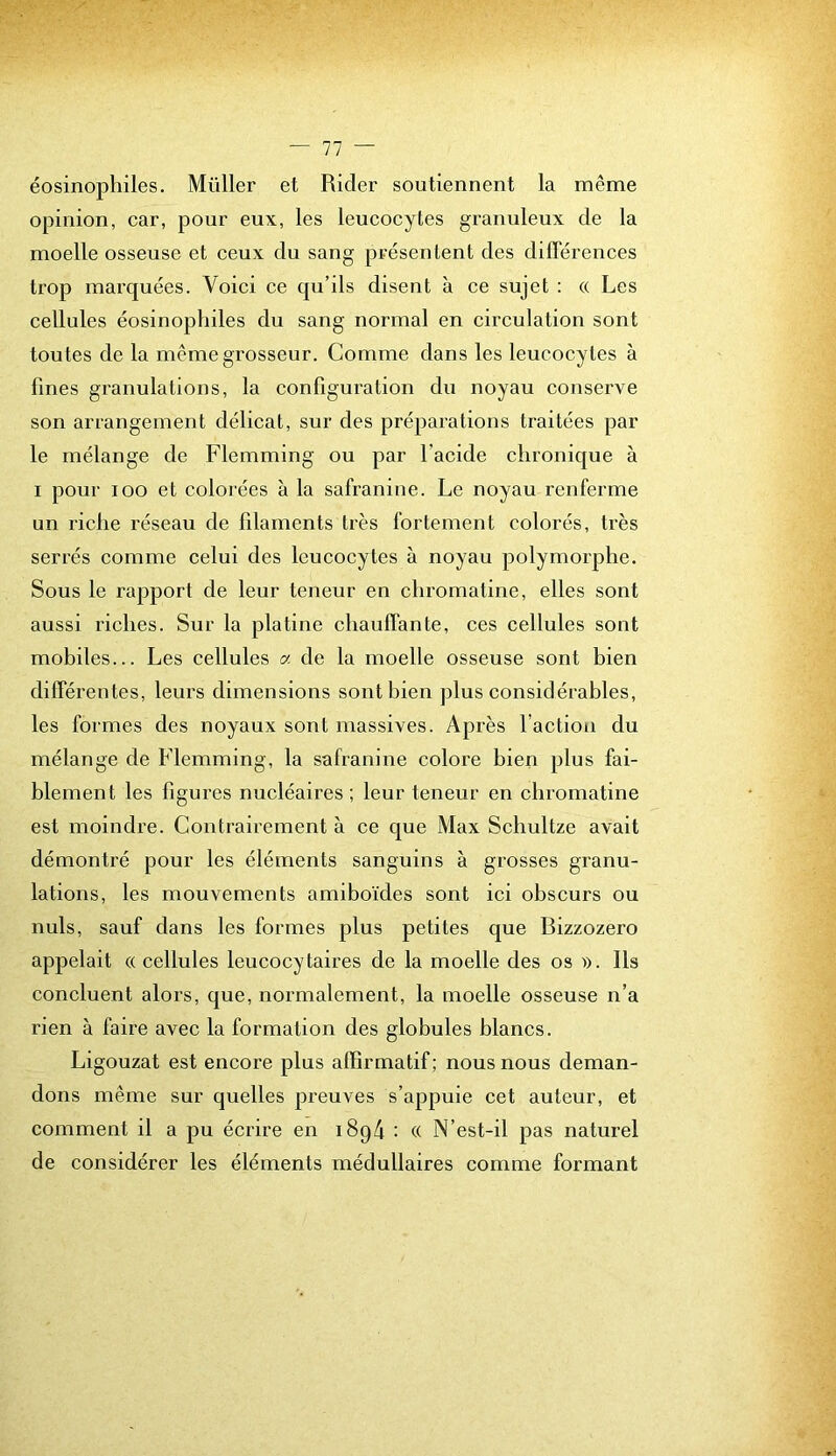 éosinophiles. Millier et Rider soutiennent la même opinion, car, pour eux, les leucocytes granuleux de la moelle osseuse et ceux du sang px'ésentent des diflerences trop marquées. Voici ce qu’ils disent à ce sujet : « Les cellules éosinophiles du sang normal en circulation sont toutes de la même grosseur. Comme dans les leucocytes à fines granulations, la configuration du noyau conserve son arrangement délicat, sur des préparations traitées par le mélange de Flemming ou par l’acide chronique à I pour loo et colorées à la safranine. Le noyau renferme un riche réseau de filaments très fortement colorés, très serrés comme celui des leucocytes à noyau polymorphe. Sous le rapport de leur teneur en chromatine, elles sont aussi riches. Sur la platine chauffante, ces cellules sont mobiles... Les cellules a. de la moelle osseuse sont bien différentes, leurs dimensions sont bien plus considérables, les formes des noyaux sont massives. Après l’action du mélange de Flemming, la safranine colore bien plus fai- blement les figures nucléaires ; leur teneur en chromatine est moindre. Contrairement à ce que Max Schultze avait démontré pour les éléments sanguins à grosses granu- lations, les mouvements amiboïdes sont ici obscurs ou nuis, sauf dans les formes plus petites que Bizzozero appelait « cellules leucocytaires de la moelle des os ». Ils concluent alors, que, normalement, la moelle osseuse n’a rien à faire avec la formation des globules blancs. Ligouzat est encore plus affirmatif; nous nous deman- dons même sur quelles preuves s’appuie cet auteur, et comment il a pu écrire en 1894 : « N’est-il pas naturel de considérer les éléments médullaires comme formant