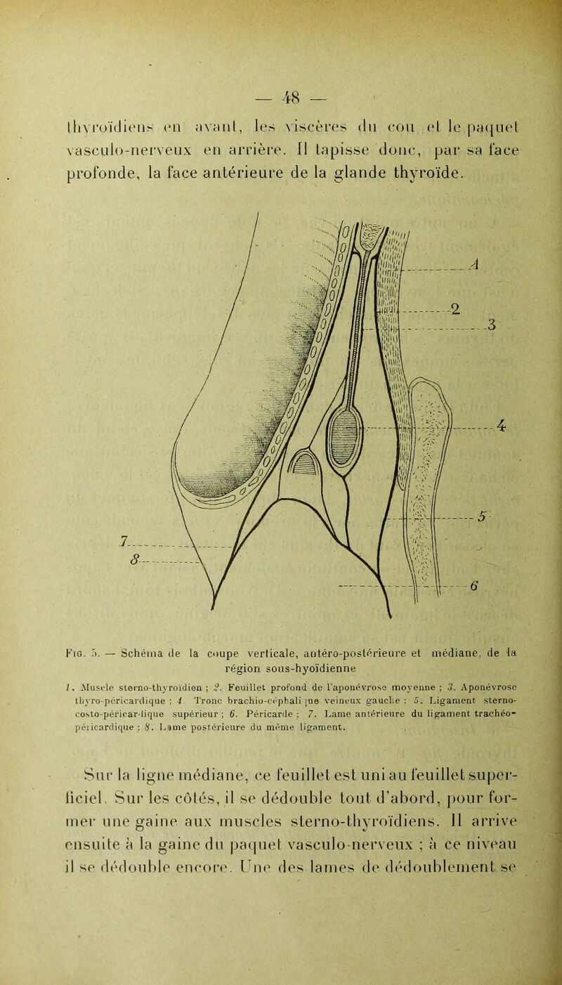 thyroïdiens en avant, les viscères du cou et le paquet vasculo-nerveux en arrière. Il tapisse donc, par sa face profonde, la face antérieure de la glande thyroïde. -----4 6' Fig. — Schéma de la coupe verticale, antéro-postérieure et médiane, de la région sous-hyoïdienne /. Muscle stemo-thyroïdien ; 2. Feuillet profond de l'aponévrose moyenne ; 3. Aponévrose thyro-péricardique ; f Tronc brachio-céphali pie veineux gauche ; 5. Ligament sterno- costo-péricardique supérieur ; 6. Péricarde : 7. Lame antérieure du ligament trachéo- péticardique : 8. Laine postérieure du même ligament. Sur la ligue médiane, ce feuillet est uni au feuillet super- liciel. Sur les côtés, il se dédouble tout d’abord, pour for- mer une gaine aux muscles sterno-thyroïdiens. 11 arrive ensuite à la gaine du paquet vasculo-nerveux ; à ce niveau il se dédouble encore. Une des lames de dédoublement se