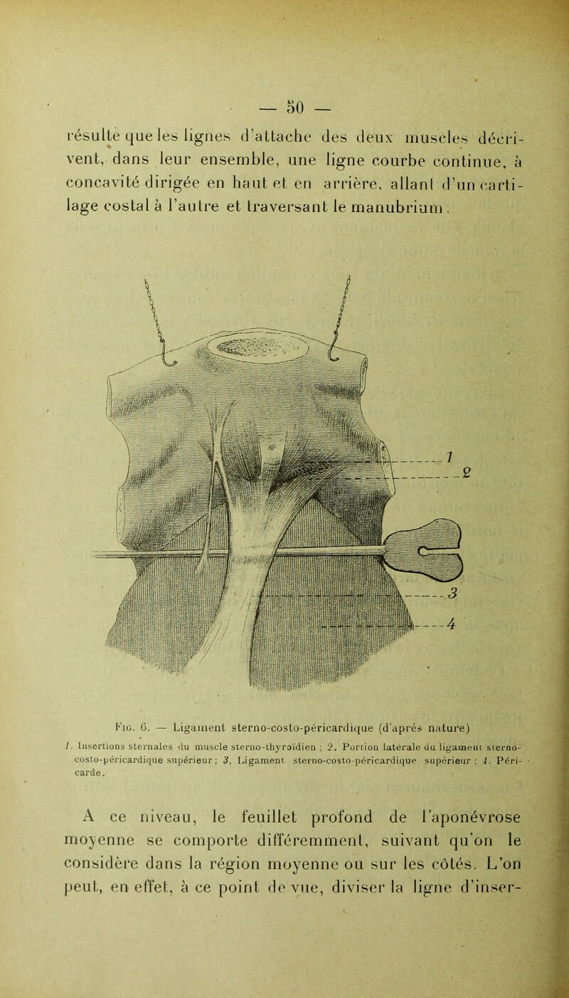 résulte que les lignes d’attache des deux muscles décri- vent, dans leur ensemble, une ligne courbe continue, à concavité dirigée en haut et en arrière, allant d’un carti- lage costal à l’autre et traversant le manubrium , Kiu. G. — Ligament sterno-costo-périeardique (d'après nature) I. Insertions sternales du muscle sterno-thyroïdien ; 2. Portion latérale du ligament sterno- costo-périeardique supérieur ; 3, Ligament sterno-costo-péricardique supérieur: I. Péri- carde . A ce niveau, le feuillet profond de l’aponévrose moyenne se comporte différemment, suivant qu’on le considère dans la région moyenne ou sur les côtés. L’on peut, en effet, à ce point de vue, diviser la ligne d’inser-