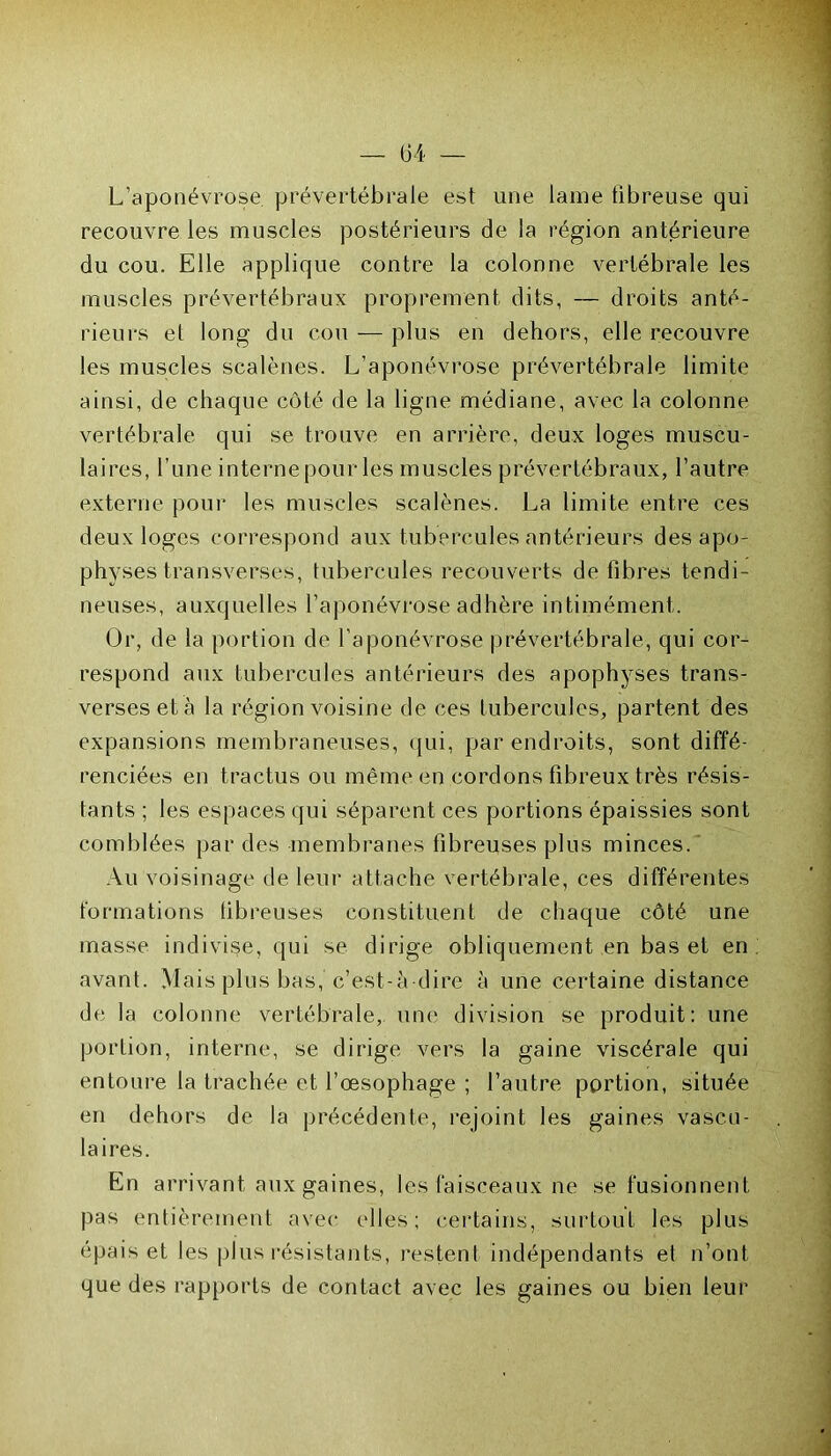 L’aponévrose, prévertébrale est une lame tibreuse qui recouvre les muscles postérieurs de la région antérieure du cou. Elle applique contre la colonne vertébrale les muscles prévertébraux proprement dits, — droits anté- rieurs et long du cou — plus en dehors, elle recouvre les muscles scalènes. L’aponévrose prévertébrale limite ainsi, de chaque côté de la ligne médiane, avec la colonne vertébrale qui se trouve en arrière, deux loges muscu- laires, l’une interne pour les muscles prévertébraux, l’autre externe pour les muscles scalènes. La limite entre ces deux loges correspond aux tubercules antérieurs des apo- physes transverses, tubercules recouverts défibrés tendi- neuses, auxquelles l’aponévrose adhère intimément. Or, de la portion de l’aponévrose prévertébrale, qui cor- respond aux tubercules antérieurs des apophyses trans- verses et à la région voisine de ces tubercules, partent des expansions membraneuses, qui, par endroits, sont diffé- renciées en tractus ou même en cordons fibreux très résis- tants ; les espaces qui séparent ces portions épaissies sont comblées par des membranes fibreuses plus minces. Au voisinage de leur attache vertébrale, ces différentes formations fibreuses constituent de chaque côté une masse indivise, qui se dirige obliquement en bas et en avant. Mais plus bas, c’est-à dire à une certaine distance de la colonne vertébrale, une division se produit: une portion, interne, se dirige vers la gaine viscérale qui entoure la trachée et l’œsophage ; l’autre portion, située en dehors de la précédente, rejoint les gaines vascu- laires. En arrivant aux gaines, les faisceaux ne se fusionnent pas entièrement avec elles; certains, surtout les plus épais et les plus résistants, restent indépendants et n’ont que des rapports de contact avec les gaines ou bien leur