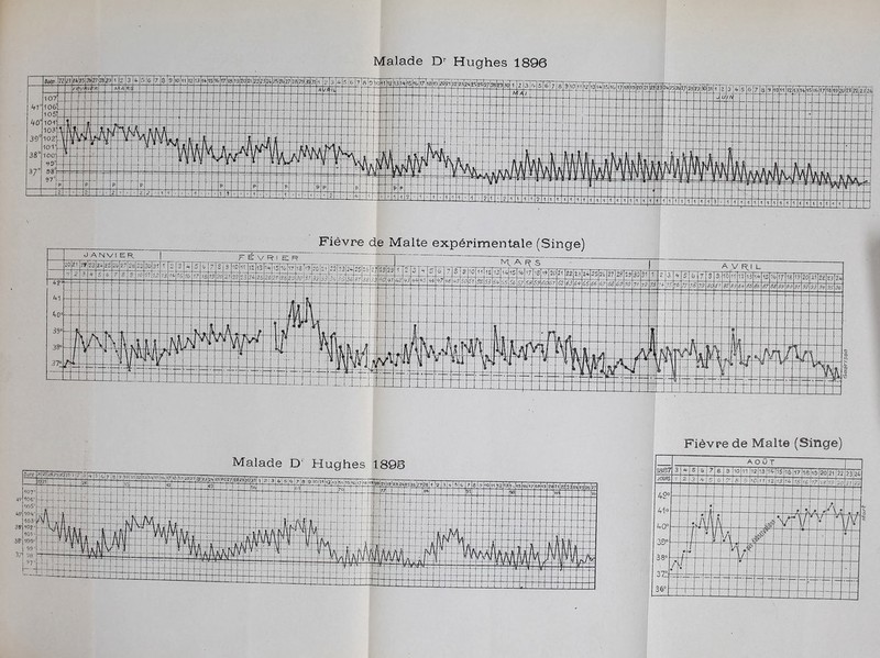 Malade Dr Hughes 1896 Fièvre de Malte (Singe) Mort