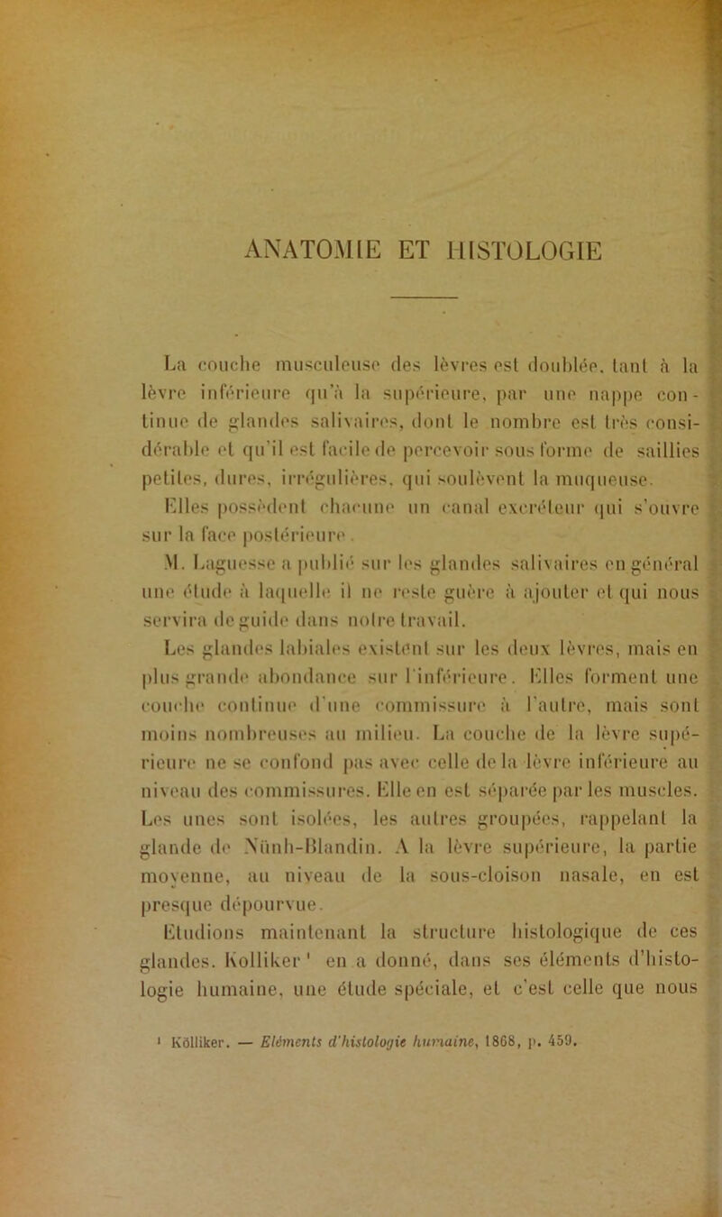 ANATOMIE ET HISTOLOGIE La couche musculeuse des lèvres est doublée, tant à la lèvre inférieure qu’à la supérieure, par une nappe con- tinue de glandes salivaires, dont le nombre est très consi- l dérable et qu'il est facile de percevoir sous forme de saillies j petites, dures, irrégulières, qui soulèvent la muqueuse. Elles possèdent chacune un canal excréteur qui s’ouvre sur la face postérieure . une élude à laquelle il ne reste guère à ajouter et qui nous ? servira de guide dans noire travail. Les glandes labiales existent sur les deux lèvres, mais en plus grande abondance sur l'inférieure. Elles forment une rieure ne se confond pas avec celle de la lèvre inférieure au niveau des commissures. Elle en est séparée par les muscles. Les unes sont isolées, les autres groupées, rappelant la glande de N im h-Blandin. A la lèvre supérieure, la partie moyenne, au niveau de la sous-cloison nasale, en est presque dépourvue. Etudions maintenant la structure histologique de ces glandes. Kolliker ' en a donné, dans ses éléments d’histo- logie humaine, une étude spéciale, et c’esL celle que nous 1 Kôlliker. — Eléments d'histoloyie humaine, 1868, p, 459.