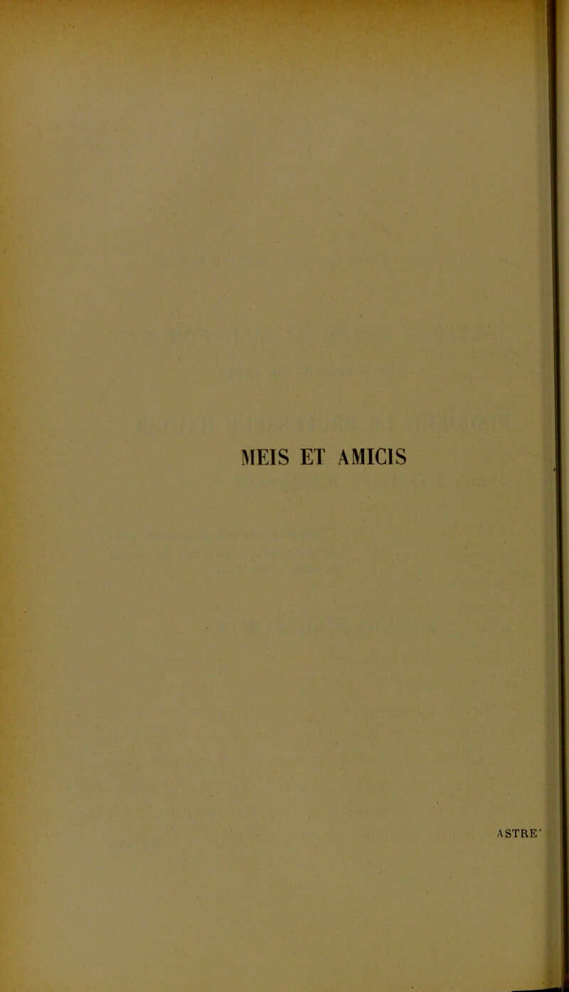 MEIS ET AMICIS