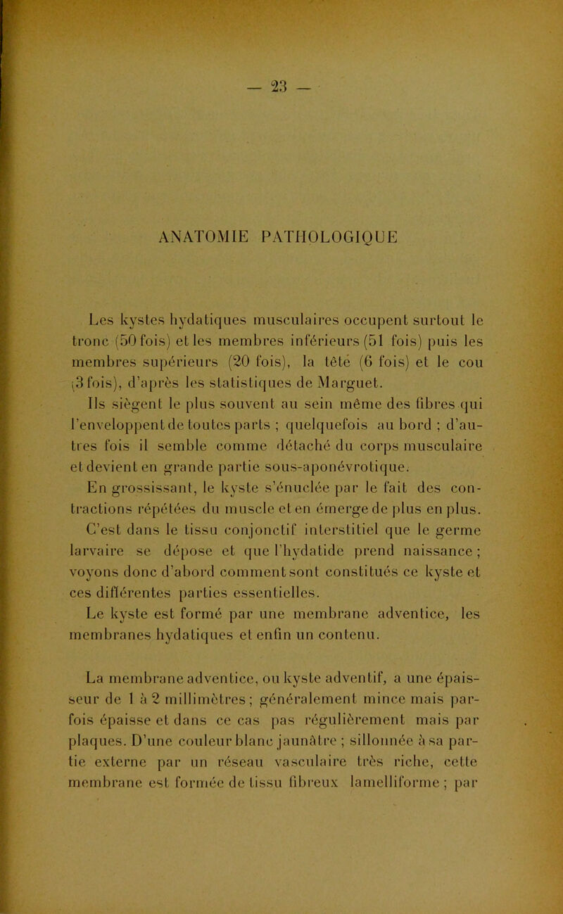 ANATOMIE PATHOLOGIQUE Les kystes hydatiques musculaires occupent surtout le tronc (50 fois) et les membres inférieurs (51 fois) puis les membres supérieurs (20 fois), la tête (6 fois) et le cou ^3 fois), d’après les statistiques de Marguet. Ils siègent le plus souvent au sein même des fibres qui l’enveloppent de toutes parts ; quelquefois au bord ; d’au- tres fois il semble comme détaché du corps musculaire etdevienten grande partie sous-aponévrotique. En grossissant, le kyste s’énuclée par le fait des con- tractions répétées du muscle et en émerge de jjIus en plus. C’est dans le tissu conjonctif interstitiel que le germe larvaire se dépose et que l’hydatide prend naissance; voyons donc d’abord comment sont constitués ce kyste et ces diflérentes parties essentielles. Le kyste est formé par une membrane adventice, les membranes hydatiques et enfin un contenu. La membrane adventice, ou kyste adventif, a une épais- seur de 1 à 2 millimètres; généralement mince mais par- fois épaisse et dans ce cas pas régulièrement mais par plaques. D’une couleur blanc jaumUre ; sillonnée à sa par- tie e.xterne par un réseau vasculaire très riche, cette membrane est formée de tissu fibreu.x: lamelliforme ; par