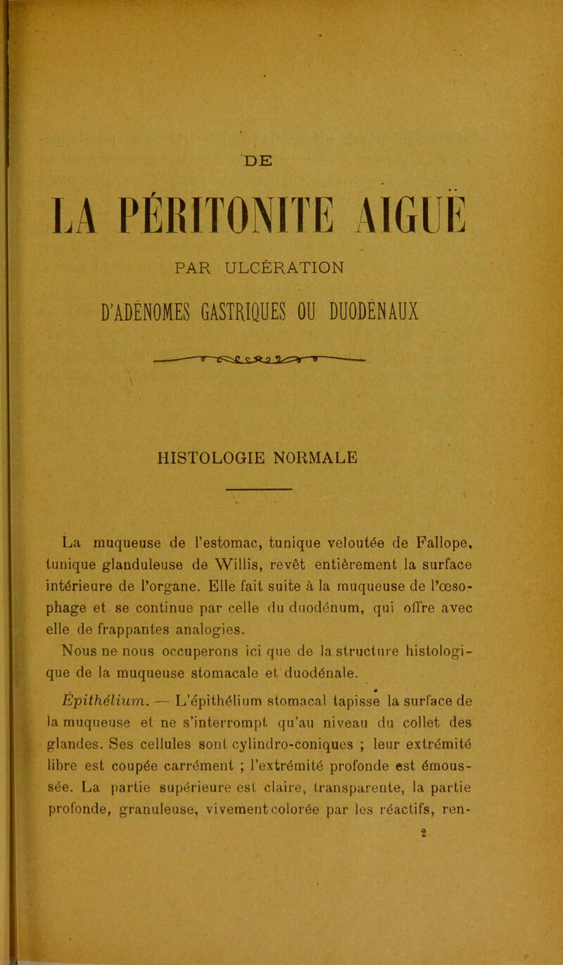 DE PAR ULCÉRATION D’ADÉNOMES GASTRIQUES OU DUODÉNAUX HISTOLOGIE NORMALE La muqueuse de l’estomac, tunique veloutée de Pallope, tunique glanduleuse de Willis, revêt entièrement la surface intérieure de l’organe. Elle fait suite à la muqueuse de l’œso- phage et se continue par celle du duodénum, qui offre avec elle de frappantes analogies. Nous ne nous occuperons ici que de la structure histologi- que de la muqueuse stomacale et duodénale. Epithélium. — L’épithélium stomacal tapisse la surface de la muqueuse et ne s’interrompt qu’au niveau du collet des glandes. Ses cellules sont cylindro-coniques ; leur extrémité libre est coupée carrément ; l’extrémité profonde est émous- sée. La partie supérieure est claire, transparente, la partie profonde, granuleuse, vivement colorée par les réactifs, ren-