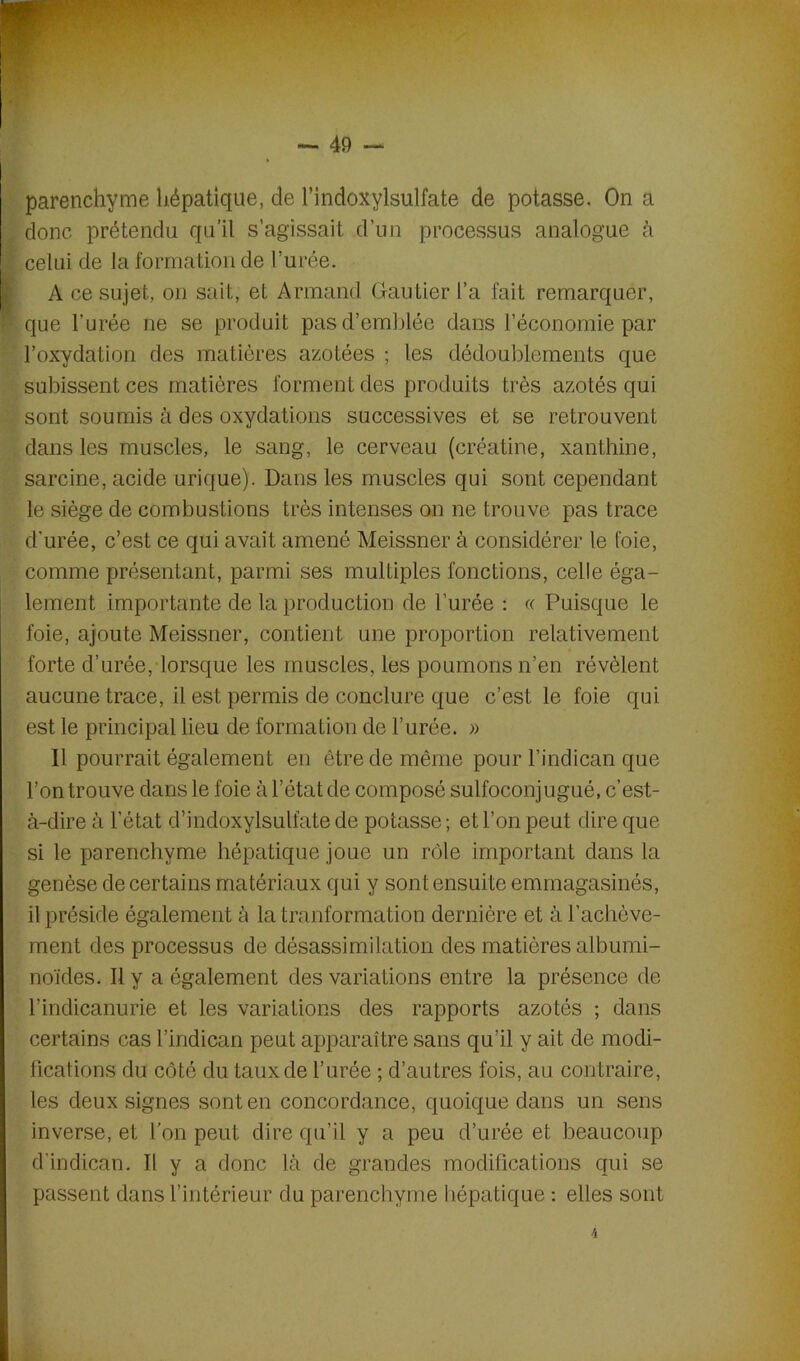 parenchyme hépatique, de findoxylsulfate de potasse. On a donc prétendu qu’il s’agissait d’un processus analogue à celui de la formation de l’urée. A ce sujet, on sait, et Armand Gautier l’a fait remarquer, que l’urée ne se produit pas d’emblée dans l’économie par l’oxydation des matières azotées ; les dédoublements que subissent ces matières forment des produits très azotés qui sont soumis à des oxydations successives et se retrouvent dans les muscles, le sang, le cerveau (créatine, xanthine, sarcine, acide urique). Dans les muscles qui sont cependant le siège de combustions très intenses on ne trouve pas trace d’urée, c’est ce qui avait amené Meissner à considérer le foie, comme présentant, parmi ses multiples fonctions, celle éga- lement importante de la production de l’urée : « Puisque le foie, ajoute Meissner, contient une proportion relativement forte d’urée, lorsque les muscles, les poumons n’en révèlent aucune trace, il est permis de conclure que c’est le foie qui est le principal lieu de formation de l’urée. » Il pourrait également en être de même pour l’indican que l’on trouve dans le foie à l’état de composé sulfoconjugué, c’est- à-dire à l’état d’indoxylsulfate de potasse ; et l’on peut dire que si le parenchyme hépatique joue un rôle important dans la genèse de certains matériaux qui y sont ensuite emmagasinés, il préside également à la tranformation dernière et à l'achève- ment des processus de désassimilation des matières albumi- noïdes. Il y a également des variations entre la présence de l’indicanurie et les variations des rapports azotés ; dans certains cas l’indican peut apparaître sans qu’il y ait de modi- fications du côté du taux de l’urée ; d’autres fois, au contraire, les deux signes sont en concordance, quoique dans un sens inverse, et l’on peut dire qu’il y a peu d’urée et beaucoup d’indican. Il y a donc là de grandes modifications qui se passent dans l’intérieur du parenchyme hépatique : elles sont 4
