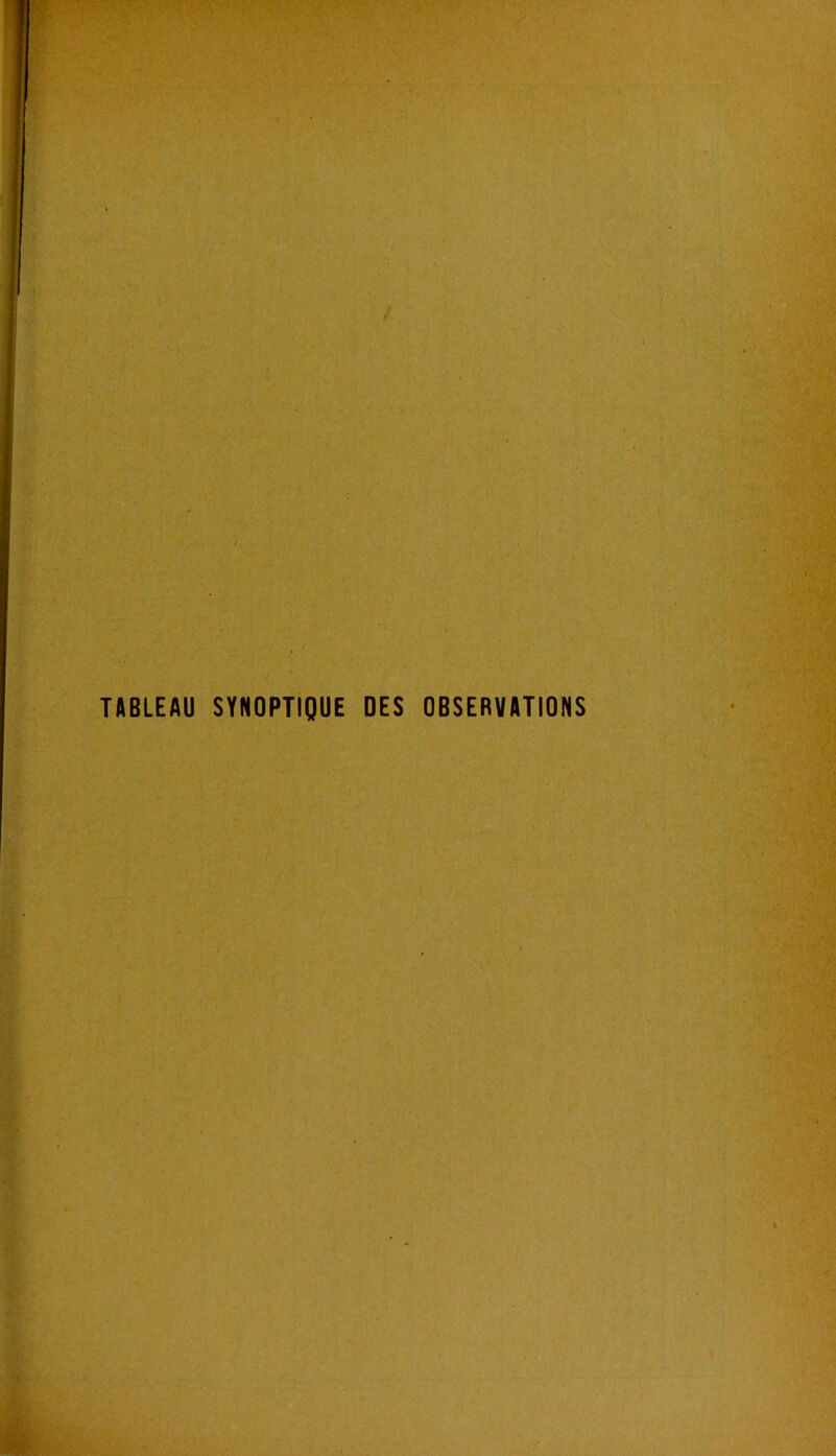 TABLEAU SYNOPTIQUE DES OBSERVATIONS