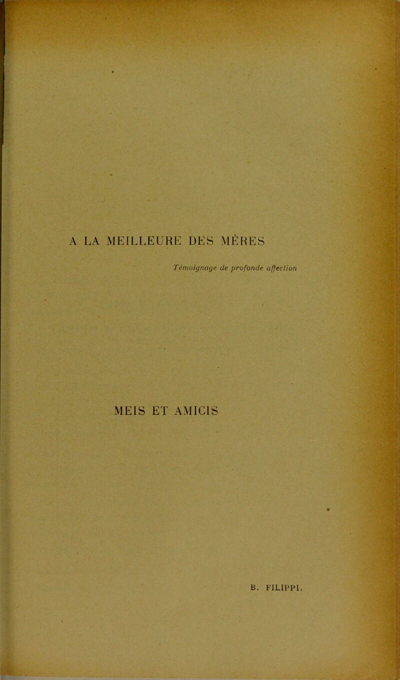 r A LA MEILLEURE DES MÈRES Témoignage de profonde afjeclion MEIS ET AMICIS