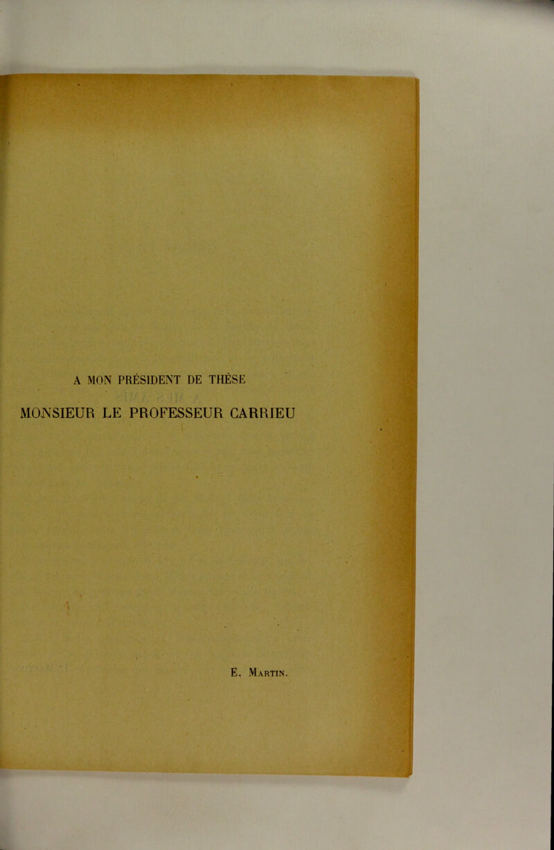 A MON PRÉSIDENT DE THÈSE MONSIEUR LE PROFESSEUR GARRIEU