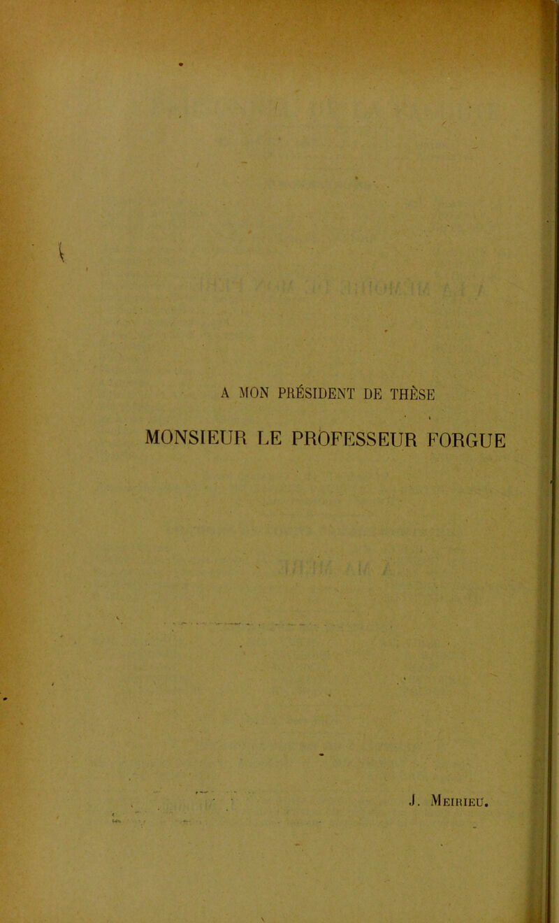 * \ I A MON PRÉSIDENT DE THÈSE * » MONSIEUR LE PROFESSEUR FORGUE \