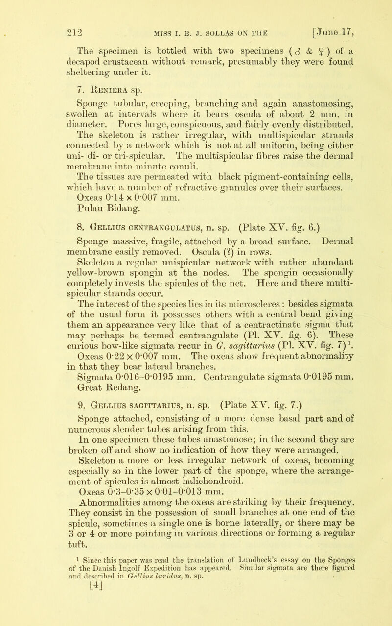 The specimen is bottled with two specimens (cJ & $ ) of a decapod crustacean without remark, presumably they were found sheltering undei’ it. 7. Reniera sp. Sponge tubular, creeping, branching and again anastomosing, swollen at intervals where it bears oscula of about 2 mm. in diameter. Pores large, conspicuous, and fairly evenly distributed. The skeleton is lather iri’egular, with multispicular strands connected by a network which is not at all uniform, being either uni- di- or tri-spicular. The multispicular fibres raise the dermal membrane into minute conuli. The tissues are permeated with black pigment-containing cells, which have a numbei‘ of refractive granules over their surfaces. Oxeas 0T4 X 0‘007 mm. Pulau Bidang. 8. Gellius centrangulatus, n. sp. (Plate XV. fig. 6.) Sponge massive, fragile, attached by a broad surface. Dermal membrane easily removed. Oscula (?) in rows. Skeleton a regular unispicular network with rather abundant yellow-brown spongin at the nodes. The spongin occasionally completely invests the spicules of the net. Here and there multi- spicular strands occur. The interest of the species lies in its microscleres : besides sigmata of the usual form it possesses others with a central bend giving them an appearance very like that of a centractinate sigma that may perhaps be termed centiangulate (PI. XV. fig. 6). These curious bow-like sigmata recur in G. Sagittarius (PI. XV. fig. 7) b Oxeas 0*22 x 0'007 mm. The oxeas show frequent abnormality in that they bear lateral branches. Sigmata 0'016-0'0195 mm. Centrangulate sigmata 0*0195 mm. Great Redang. 9. Gellius Sagittarius, n. sp. (Plate XV. fig. 7.) Sponge attached, consisting of a more dense basal part and of numerous slender tubes arising from this. In one specimen these tubes anastomose; in the second they are broken off and show no indication of how they were arranged. Skeleton a more or less irregular network of oxeas, becoming especially so in the lower part of the sponge, where the arrange- ment of spicules is almost halichondroid. Oxeas 0*3-0*35 X 0*01-0*013 mm. Abnormalities among the oxeas ai*e striking by their frequency. They consist in the possession of small branches at one end of the spicule, sometimes a single one is borne laterally, or there may be 3 or 4 or more pointing in various directions or forming a regular tuft. 1 Since this paper was read the translation of Lundbeck’s essay on the Sponges of the Danish Ingolf Expedition has appeared. Similar sigmata are there hgured and described in Gellius luridus, n. sp.