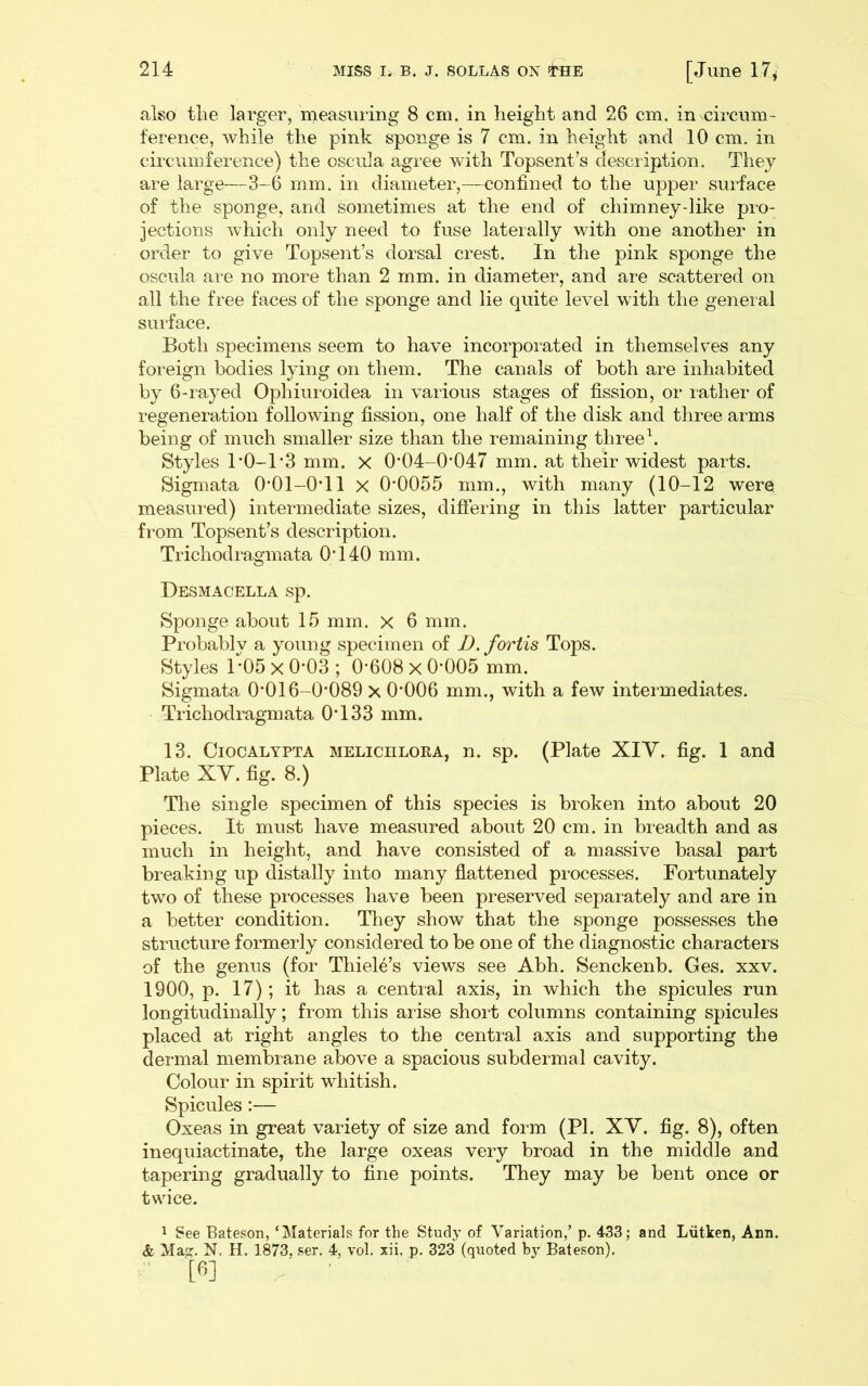 also the larger, rneasming 8 cm. in height and 26 cm. in circum- ference, while the pink sponge is 7 cm. in height and 10 cm. in circumference) the oscula agree with Topsent’s description. They are large—3-6 mm. in diameter,—confined to the upper surface of the sponge, and sometimes at the end of chimney-lilce pro- jections which only need to fuse laterally with one another in order to give Topsent’s dorsal crest. In the pink sponge the oscula are no more than 2 mm. in diameter, and are scattered on all the free faces of the sponge and lie quite level with the general surface. Both specimens seem to have incorporated in themselves any foreign bodies lying on them. The canals of both are inhabited by 6-rayed Ophiuroidea in various stages of fission, or rather of regeneration following fission, one half of the disk and three arms being of much smaller size than the remaining three\ Styles T0-T3 mm. x 0’04-0*047 mm. at their widest parts. Sigmata O’Ol-OTl x 0‘0055 mm., with many (10-12 were measured) intermediate sizes, differing in this latter particular from Topsent’s description. Trichodragmata 0T40 mm. Desmacella sp. Sponge about 15 mm. x 6 mm. Probably a young specimen of D.fortis Tops. Styles 1*05 x 0*03 ; 0’608 x 0*005 mm. Sigmata 0*016-0*089 x 0*006 mm., with a few intermediates. Trichodragmata 0*133 mm. 13. CiocALYPTA MELiCHLORA, n. sp. (Plate XIY. fig. 1 and Plate XY. fig. 8.) The single specimen of this species is broken into about 20 pieces. It must have measured about 20 cm. in breadth and as much in height, and have consisted of a massive basal part breaking up distally into many flattened processes. Fortunately two of these processes have been preserved separately and are in a better condition. They show that the sponge possesses the structure formerly considered to be one of the diagnostic characters of the genus (for Thiele’s views see Abh. Senckenb. Ges. xxv. 1900, p. 17); it has a central axis, in which the spicules run longitudinally; from this arise short columns containing spicules placed at right angles to the central axis and supporting the dermal membrane above a spacious subdermal cavity. Colour in spirit whitish. Spicules:— Oxeas in great variety of size and form (PI. XY. fig. 8), often inequiactinate, the large oxeas very broad in the middle and tapering gradually to fine points. They may be bent once or twice. 1 See Bateson, ‘Materials for the Study of Variation,’ p. 433; and Liitken, Ann. & Mag^. N. H. 1873, ser. 4, vol. xii. p. 323 (quoted by Bateson),