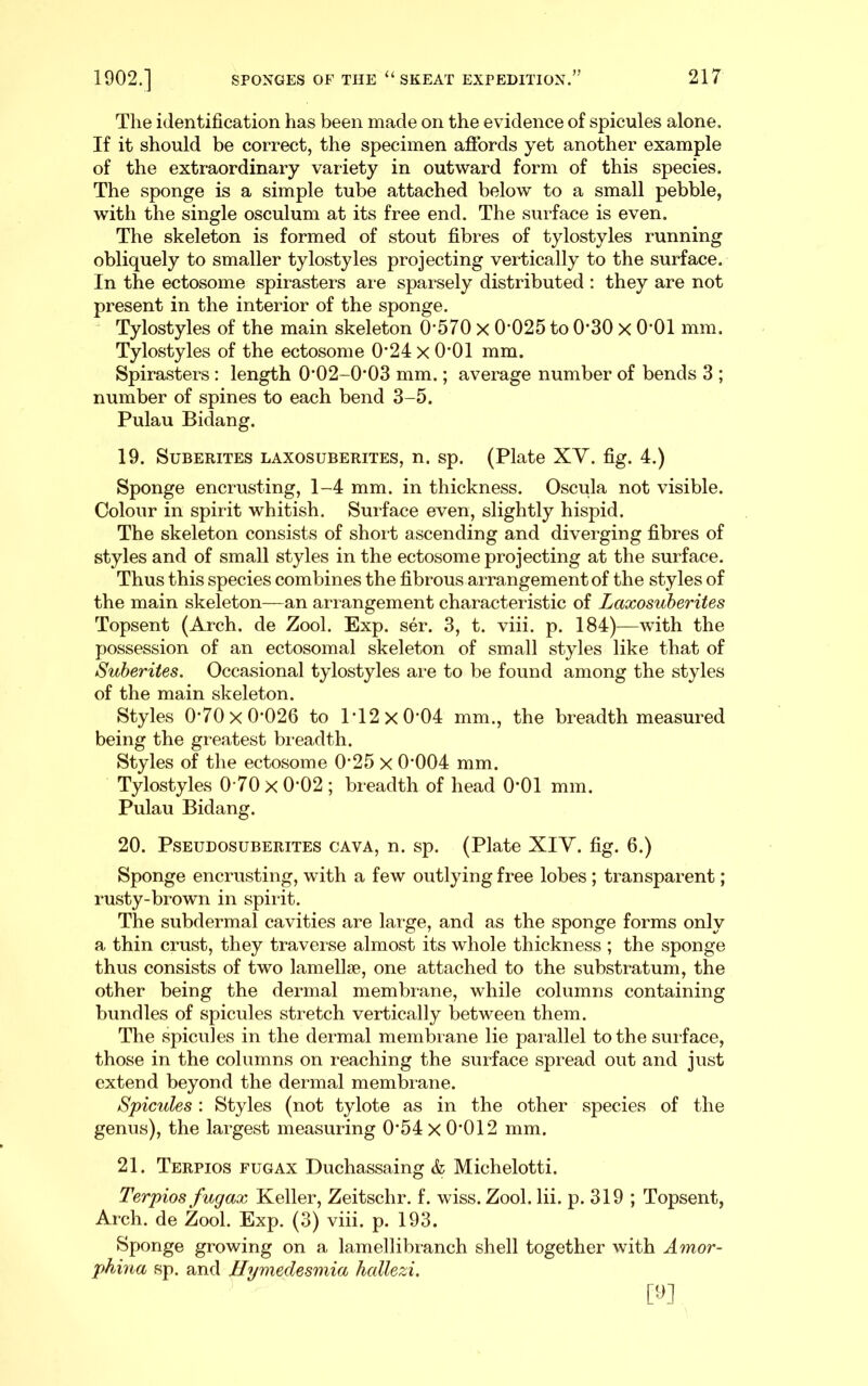 The identification has been made on the evidence of spicules alone. If it should be correct, the specimen afibrds yet another example of the extraordinary variety in outward form of this species. The sponge is a simple tube attached below to a small pebble, with the single osculum at its free end. The surface is even. The skeleton is formed of stout fibres of tylostyles running obliquely to smaller tylostyles projecting vertically to the surface. In the ectosome spirasters are sparsely distributed : they are not present in the interior of the sponge. Tylostyles of the main skeleton 0‘570 X 0’025 to 0’30 X 0*01 mm. Tylostyles of the ectosome 0’24 x O'Ol mm. Spirasters: length 0'02-0'03 mm.; average number of bends 3 ; number of spines to each bend 3-5. Pulau Bidang. 19. SuBERiTES LAXOSUBERITES, n. sp. (Plate XY. fig. 4.) Sponge encrusting, 1-4 mm. in thickness. Oscula not visible. Colour in spirit whitish. Suiface even, slightly hispid. The skeleton consists of short ascending and diverging fibres of styles and of small styles in the ectosome projecting at the surface. Thus this species combines the fibrous arrangement of the styles of the main skeleton—an arrangement characteristic of Laxosuherites Topsent (Arch, de Zool. Exp. ser. 3, t. viii. p. 184)—with the possession of an ectosomal skeleton of small styles like that of Suherites. Occasional tylostyles are to be found among the styles of the main skeleton. Styles 0*70x0*026 to 1*12x0*04 mm., the breadth measured being the greatest breadth. Styles of the ectosome 0*25 x 0*004 mm. Tylostyles 0-70x0*02; breadth of head 0*01 mm. Pulau Bidang. 20. PSEUDOSUBERITES CAVA, n. sp. (Plate XIY. fig. 6.) Sponge encrusting, with a few outlying free lobes ; transparent; rusty-brown in spirit. The subdermal cavities are large, and as the sponge forms only a thin crust, they traverse almost its whole thickness ; the sponge thus consists of two lamellae, one attached to the substratum, the other being the dermal membrane, while columns containing bundles of spicules stretch vertically between them. The spicules in the dei’mal membi ane lie parallel to the surface, those in the columns on reaching the suilace spread out and just extend beyond the dermal membiane. Spicules: Styles (not tylote as in the other species of the genus), the largest measuring 0*54x0*012 mm. 21. Terpios fugax Duchassaing & Michelotti. Terpios fugax Keller, Zeitschr. f. wiss. Zool. lii. p. 319 ; Topsent, Arch, de Zool. Exp. (3) viii. p. 193. Sponge growing on a lamellibranch shell together with Amor- phina sp. and Hymedesmia hallezi.