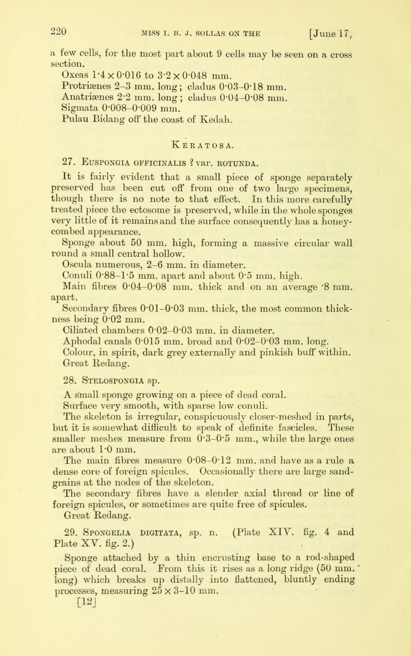 a few cells, for the most part about 9 cells may be seen on a cross section. Oxeas 1-4 X 0-016 to 3-2 x 0*048 mm. Protrisenes 2-3 mm. long; daclus 0-03-0-18 mm. Anatrisenes 2*2 mm. long ; cladus 0*04-0'08 mm. Sigmata 0*008-0*009 mm. Pulau Bidang oft' the coast of Kedah. Keratosa. 27. Euspongia officinalis ? var. rotunda. It is fairly evident that a small piece of sponge separately preserved has been cut off from one of two laige specimens, though there is no note to that effect. In this more carefully treated piece the ectosome is preserved, while in the whole sponges very little of it remains and the surface consequently has a honey- combed appearance. Sponge about 50 mm. high, forming a massive circular wall round a small central hollow. Oscula numerous, 2-6 mm. in diameter. Conuli 0*88-1*5 mm. apart and about 0*5 mm. high. Main fibres 0*04-0*08 mm. thick and on an average *8 mm. apart. Secondary fibres 0*01-0*03 mm. thick, the most common thick- ness being 0*02 mm. Ciliated chambers 0*02-0*03 mm. in diameter. Aphodal canals 0*015 mm. broad and 0*02-0*03 mm. long. Colour, in spirit, dark grey externally and pinkish buff within. Great Bedang. 28. Stelospongia sp. A Small sponge growing on a piece of dead coral. Surface very smooth, with sparse low conuli. The skeleton is irregular, conspicuously closer-meshed in parts, but it is somewhat difficult to speak of definite fascicles. These smaller meshes measure from 0*3-0*5 mm., while the large ones are about 1*0 mm. The main fibres measure 0*08-0*12 mm. and have as a rule a dense core of foreign spicules. Occasionally there are large sand- grains at the nodes of the skeleton. The secondary fibres have a slender axial thread or line of foreign spicules, or sometimes are quite free of spicules. Great Bedang. 29. Spongelia digitata, sp. n. (Plate XIV. fig. 4 and Plate XV. fig. 2.) Sponge attached by a thin encrusting base to a rod-shaped piece of dead coral. From this it rises as a long ridge (50 mm. long) which breaks up distally into flattened, bluntly ending processes, measuring 25 x 3-10 mm. [12J