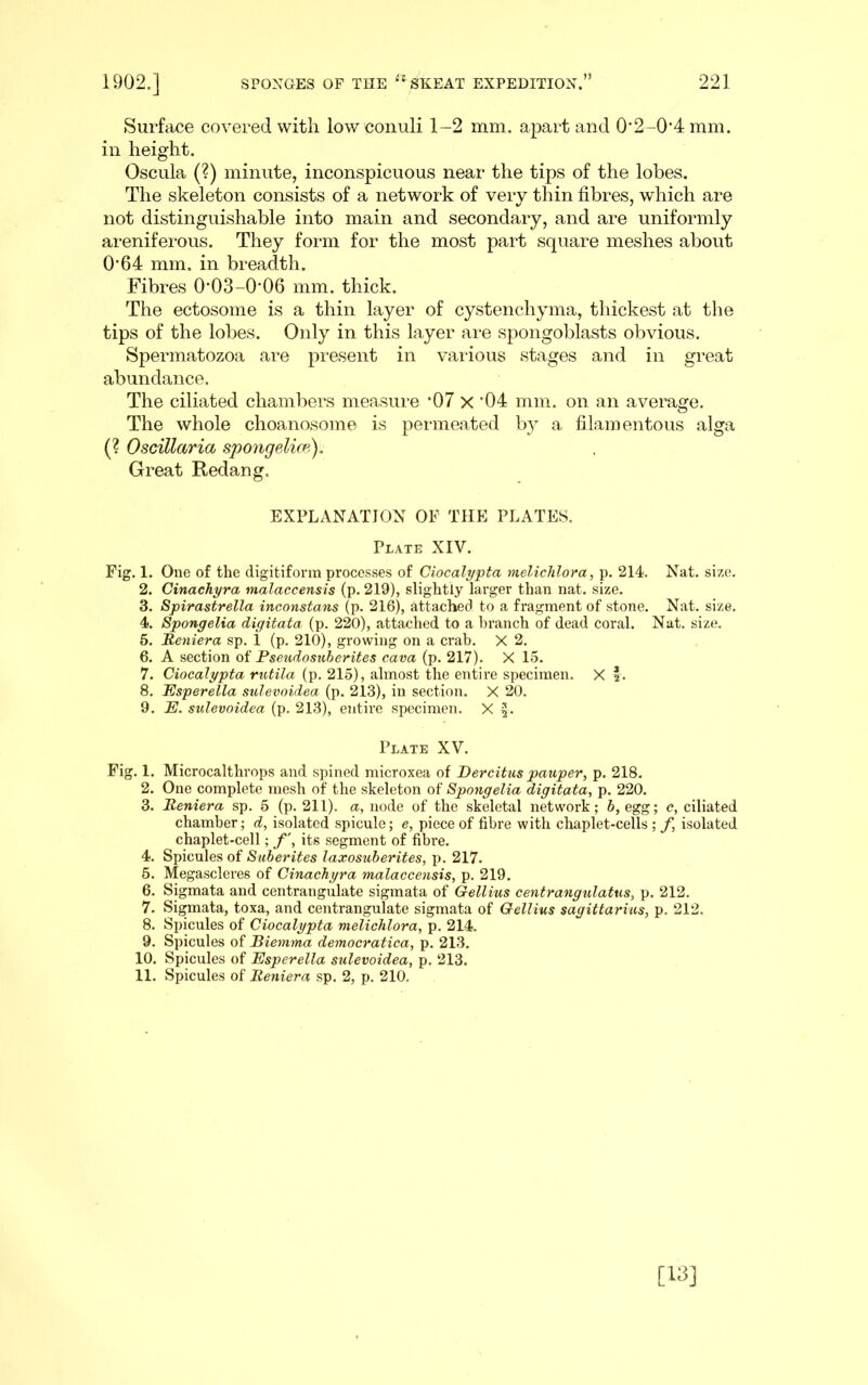 Surface covered with low coiiuli 1-2 mm. apart and 0’2-0’4mm. in height. Oscula (?) minute, inconspicuous near the tips of the lobes. The skeleton consists of a network of very thin fibres, which are not distinguishable into main and secondary, and are uniformly areniferous. They form for the most part square meshes about 0*64 mm. in breadth. Fibres 0*03-0'06 mm. thick. The ectosome is a thin layer of cystenchyma, thickest at tlie tips of the lobes. Only in this layer are spongoblasts obvious. Spermatozoa are present in vaiious stages and in great abundance. The ciliated chambers measure *07 x '04 mm. on an average. The whole choanosome is peiineated by a filamentous alga (? Oscillaria spongeMa^). Great Redang. EXPLANATION OF THE PLATES. Plate XIV. Fig. 1. One of the digitiform processes of Ciocali/pta melichlora, p. 214. Nat. size. 2. Cinachyra malaccensis (p. 219), slightly larger than nat. size. 3. Spirastrella inconstans (p. 216), attacheci to a fragment of stone. Nat. size. 4. Spongelia digitata (p. 220), attached to a liranch of dead coral. Nat. size. 5. Heniera sp. 1 (p. 210), growing on a crab. X 2. 6. A section oi Pseudosuherites cava (p. 217). X 15. 7. Ciocalypta rutila (p. 215), almost the entire specimen. X *. 8. Psperella sulevoidea (p. 213), in section. X 20. 9. P. sulevoidea (p. 213), entire specimen. X f. Plate XV. Fig. 1. Microcalthrops and spined microxea of Dereitus pauper, p. 218. 2. One complete mesh of the skeleton of Spongelia digitata, p. 220. 3. Meniera sp. 5 (p. 211). a, node of the skeletal network; h, egg; c, ciliated chamber; d, isolated spicule; e, piece of fibre with chaplet-cells ; f, isolated chaplet-cell; f, its segment of fibre. 4. Spicules of Suberites laxosuherites, p. 217. 6. Megascleres of Cinachyra malaccensis, p. 219. 6. Sigmata and centrangulate sigmata of Gellius centrangulatus, p. 212. 7. Sigmata, toxa, and centrangulate sigmata of Gellius Sagittarius, p. 212. 8. Spicules of Ciocalypta melichlora, p. 214. 9. Spicules of Biemma democratica, p. 213. 10. Spicules of JSsperella sulevoidea, p. 213. 11. Spicules of Eeniera sp. 2, p. 210. [13]