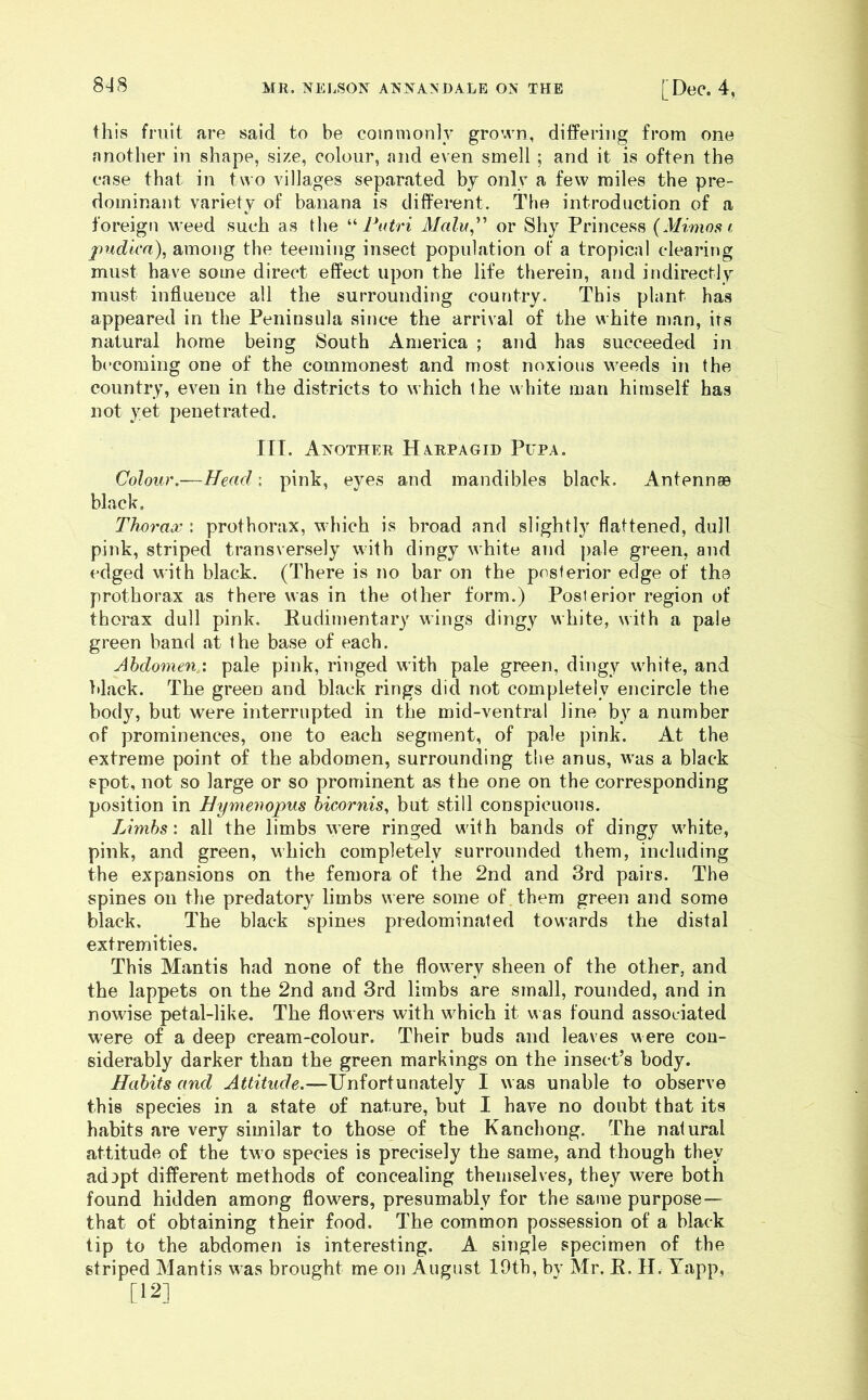 this fruit are said to be commonly grown, differing from one another in shape, size, colour, and even smell ; and it is often the case that in two villages separated by only a few miles the pre- dominant variety of banana is different. The introduction of a foreign weed such as the Patri Malu'^ or Shy Princess {Mimosa i jmd'ica), among the teeming insect population of a tropical clearing must have some direct effect upon the life therein, and indirectly must influeuce all the surrounding country. This plant has appeared in the Peninsula since the arrival of the white man, its natural home being South America ; and has succeeded in becoming one of the commonest and most noxious weeds in the country, even in the districts to which the white man himself has not yet penetrated. III. Another Harpagid Pupa. Colour.—Head: pink, eyes and mandibles black. Antennas black. Thorax : prothorax, which is broad and slightly flattened, dull pink, striped transversely with dingy white and j)ale green, and edged with black. (There is no bar on the posterior edge of the prothorax as there was in the other form.) Posterior region of thorax dull pink. Eudimentary wings dingy white, with a pale green band at the base of each. Abdomen ', pale pink, ringed with pale green, dingy white, and black. The green and black rings did not completely encircle the body, but were interrupted in the mid-ventral line by a number of prominences, one to each segment, of pale pink. At the extreme point of the abdomen, surrounding the anus, was a black spot, not so large or so prominent as the one on the corresponding position in Hymenopus bicornis, but still conspicuous. Limbs', all the limbs were ringed with bands of dingy white, pink, and green, which completely surrounded them, including the expansions on the femora of the 2nd and 3rd pairs. The spines on tlie predatory limbs were some of them green and some black. The black spines predominated towards the distal extremities. This Mantis had none of the flowery sheen of the other, and the lappets on the 2nd and 3rd limbs are small, rounded, and in nowise petal-like. The flowers with which it was found associated were of a deep cream-colour. Their buds and leaves were con- siderably darker than the green markings on the insect’s body. Habits and Attitude.—Unfortunately I was unable to observe this species in a state of nature, but I have no doubt that its habits are very similar to those of the Kanchong. The natural attitude of the two species is precisely the same, and though they ad3pt different methods of concealing themselves, they were both found hidden among flowers, presumably for the same purpose— that of obtaining their food. The common possession of a black tip to the abdomen is interesting. A single specimen of the striped Mantis was brought me on August 19th, by Mr. K. H. Tapp, [12]