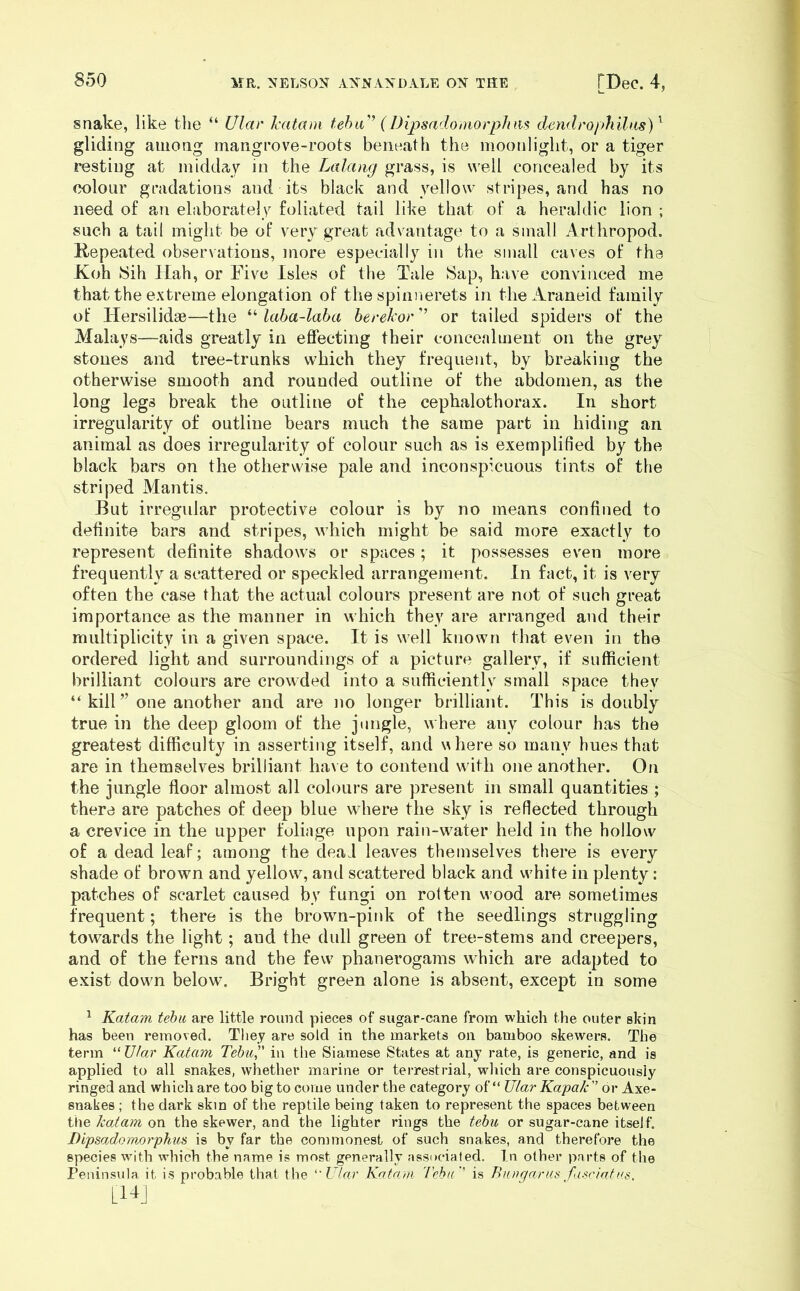 snake, like the “ Ular katam teha’iDipsadomorphm dendrophilns)^ gliding among mangrove-roots beneath the moonlight, or a tiger resting at midday in the Lalamj grass, is well concealed by its colour gradations and its black and yellow stripes, and has no need of an elaborately foliated tail like that of a heraldic lion ; such a tail might be of very great advantage to a small Arthropod. E-epeated observations, more especially in the small caves of the Koh 8ih Hah, or Five Isles of the Tale Sap, have convinced me that the extreme elongation of the spinnerets in theAraneid family of Hersilidse—the laha-laba herekor’ or tailed spiders of the Malays—aids greatly in eflfecting their concealment on the grey stones and tree-trunks which they frequent, by breaking the otherwise smooth and rounded outline of the abdomen, as the long legs break the outline of the cephalothorax. In short irregularity of outline bears much the same part in hiding an animal as does irregularity of colour such as is exemplified by the black bars on the otherwise pale and inconspicuous tints of the striped Mantis. But irregular protective colour is by no means confined to definite bars and stripes, which might be said more exactly to represent definite shadows or spaces; it possesses even more frequently a scattered or speckled arrangement. In fact, it is very often the case that the actual colours present are not of such great importance as the manner in which they are arranged and their multiplicity in a given space. It is well known that even in the ordered light and surroundings of a picture gallery, if sufficient brilliant colours are crowded into a sufficiently small space they “ kill ” one another and are no longer brilliant. This is doubly true in the deep gloom of the jungle, where any colour has the greatest difficulty in asserting itself, and \^here so many hues that are in themselves brilliant have to contend with one another. On the jungle floor almost all colours are present in small quantities ; there are patches of deep blue where the sky is reflected through a crevice in the upper foliage upon rain-water held in the hollow of a dead leaf; among the deal leaves themselves there is every shade of brown and yellow, and scattered black and white in plenty: patches of scarlet caused by fungi on rotten wood are sometimes frequent; there is the brown-pink of the seedlings struggling towards the light; aud the dull green of tree-stems and creepers, and of the ferns and the few phanerogams which are adapted to e.xist down below. Bright green alone is absent, except in some ^ Katam tehii are little round pieces of sugar-cane from which the outer skin has been removed. They are sold in the markets on bamboo skewers. The term Katam Tebu, in the Siamese States at any rate, is generic, and is applied to all snakes, whether marine or terrestrial, which are conspicuously ringed and which are too big to come under the category of “ Ular Kapak'’ or Axe- snakes ; the dark skin of the reptile being taken to represent the spaces between the katam on the skewer, and the lighter rings the tehu or sugar-cane itself. Dipsadomorphus is by far the commonest of such snakes, and therefore the species wuth which the name is most generally ass(»cialed. In other parts of the Peninsula it is probable that the ''Ular Katam Tchu' is Buaqarus fasciafas, Ll-^J