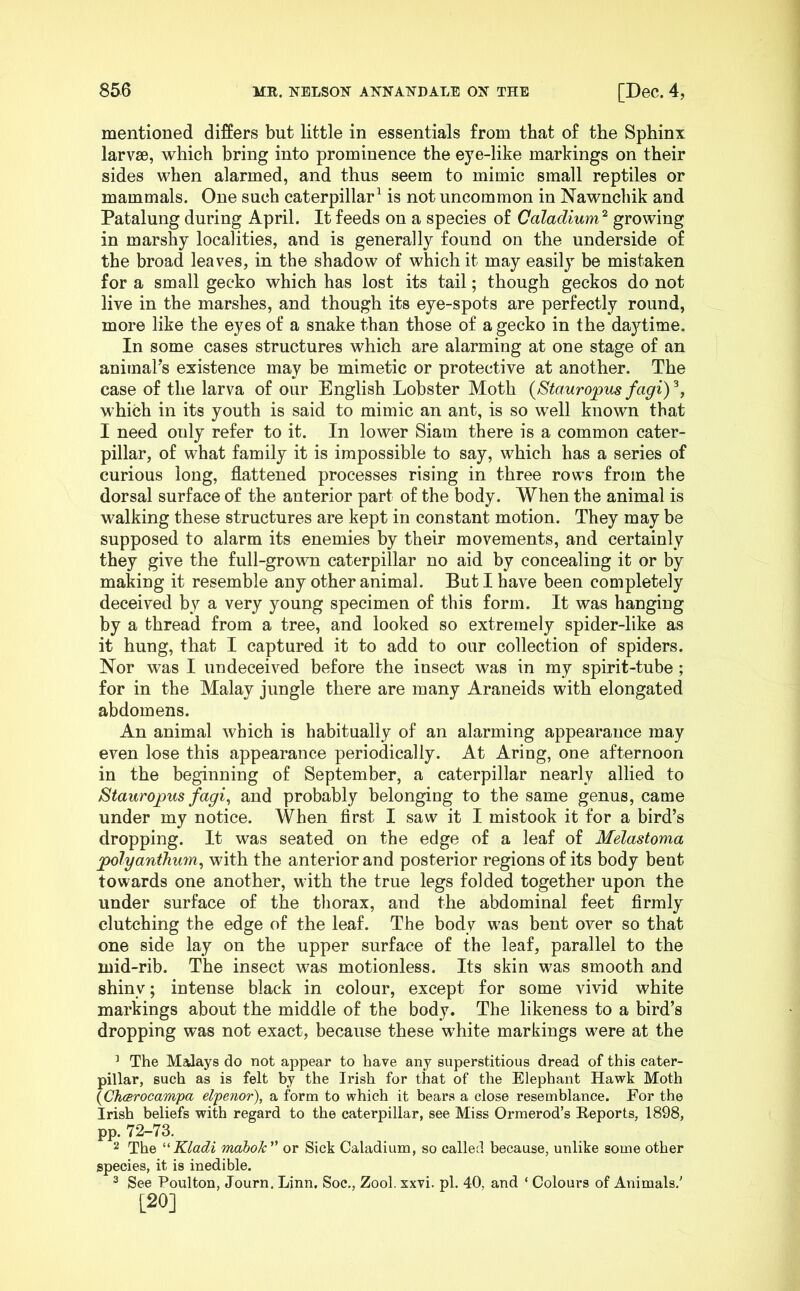 mentioned differs but little in essentials from that of the Sphinx larvae, which bring into prominence the eye-like markings on their sides when alarmed, and thus seem to mimic small reptiles or mammals. One such caterpillar^ is not uncommon in Nawnchik and Patalung during April. It feeds on a species of Caladium^ growing in marshy localities, and is generally found on the underside of the broad leaves, in the shadow of which it may easily be mistaken for a small gecko which has lost its tail; though geckos do not live in the marshes, and though its eye-spots are perfectly round, more like the eyes of a snake than those of a gecko in the daytime. In some cases structures which are alarming at one stage of an animal’s existence may be mimetic or protective at another. The case of the larva of our English Lobster Moth {Stauropus fagiy, which in its youth is said to mimic an ant, is so well known that I need only refer to it. In lower Siam there is a common cater- pillar, of what family it is impossible to say, which has a series of curious long, flattened processes rising in three rows from the dorsal surface of the anterior part of the body. When the animal is walking these structures are kept in constant motion. They may be supposed to alarm its enemies by their movements, and certainly they give the full-grown caterpillar no aid by concealing it or by making it resemble any other animal. But I have been completely deceived by a very young specimen of this form. It was hanging by a thread from a tree, and looked so extremely spider-like as it hung, that I captured it to add to our collection of spiders. Nor was I undeceived before the insect was in my spirit-tube; for in the Malay jungle there are many Araneids with elongated abdomens. An animal which is habitually of an alarming appearance may even lose this appearance periodically. At Aring, one afternoon in the beginning of September, a caterpillar nearly allied to Stawropus fagi^ and probably belonging to the same genus, came under my notice. When first I saw it I mistook it for a bird’s dropping. It was seated on the edge of a leaf of Melastoma polyanthum^ with the anterior and posterior regions of its body bent towards one another, with the true legs folded together upon the under surface of the thorax, and the abdominal feet firmly clutching the edge of the leaf. The body was bent over so that one side lay on the upper surface of the leaf, parallel to the mid-rib. The insect was motionless. Its skin was smooth and shiny; intense black in colour, except for some vivid white markings about the middle of the body. The likeness to a bird’s dropping was not exact, because these white markings were at the ’ The Malays do not appear to have any superstitious dread of this cater- pillar, such as is felt by the Irish for that of the Elephant Hawk Moth (^ChcBTOcampa elpenor), a form to which it bears a close resemblance. For the Irish beliefs with regard to the caterpillar, see Miss Ormerod’s Eeports, 1898, pp. 72-73. 2 The ^‘Kladi maboTc'' or Sick Caladium, so called because, unlike some other species, it is inedible. 2 See Poulton, Journ. Linn. Soc., Zool. xxvi. pi. 40, and ‘ Colours of Animals.' [20]