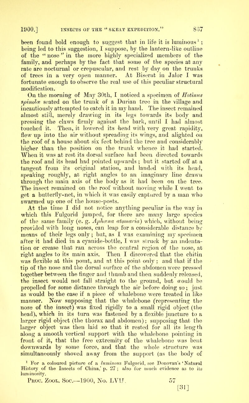 been found bold enough to suggest that in life it is luminous^; being led to this suggestion, I suppose, by the lantern-like outline of the “ nose ” in the more highly specialized members of the family, and perhaps by the fact that some of the species at any rate are nocturnal or crepuscular, and rest by day on the trunks of trees in a very open manner. At Biserat in Jalor I was fortunate enough -to observe the real use of this peculiar structural modification. On the morning of May 30th, I noticed a specimen of Hotinus S'pinolce seated on the trunk of a Durian tree in the village and incautiously attempted to catch it in my hand. The insect remained almost still, merely drawing in its legs towards its body and pressing the claws firmly against the bark, until I had almost touched it. Then, it lowered its head with very great rapidity, flew up into the air without spreading its wings, and alighted on the roof of a house about six feet behind the tree and considerably higher than the position on the trunk whence it had started. When it was at rest its dorsal surface had been directed towards the roof and its head had pointed upwards ; but it started oft' at a tangent from its original station, and landed uith its head, speaking roughly, at right angles to an imaginary line drawn through the main axis of the body as it had been on the tree. The insect remained on the roof without moving while I went to get a butterfly-net, in whicli it was easily captured by a man who swarmed up one of the house-posts. At the time I did not notice an}Thing peculiar in the way in which this Eulgorid jumped, for there are many large species of the same family (e. g. Aplux.na atomaria) which, without being provided with long noses, can leap for a considerable distance by means of their legs only ; but, as I was examining my specimen after it had died in a cyanide-bottle, I was struck by an indenta- tion or crease that ran across the central region of the nose, at right angles to its main axis. Then I discovered that the chitin was flexible at this point, and at this point only ; and that if the tip of the nose and the dorsal surface of the abdomen were pressed together between the finger and thumb and then suddenly released, the insect would not fall straight to the ground, but would be propelled for some distance through the air before doing so; just as would be the case if a piece of whalebone were treated in like manner. Now supposing tliat the whalebone (representing the nose of the insect) was fixed rigidly to a small rigid object (the head), which in its turn was fastened by a flexible juncture to a larger rigid object (the thorax and abdomen); supposing that tlie larger object was then laid so that it rested for all its length along a smooth vertical support with the whalebone pointing in front of it, that the free extremity of the whalebone was bent downwards by some force, and that the whole structure was simultaneously shoved av^ay from the support (as the body of ^ For a coloured picture of a luminous Fulgorid, see Donovan’s ‘ Natural History of the Insects of China,’ p. 27 ; also lor much evidence as to its luminosity. Pkoc. Zool. 8oc.—1900, No. LVU. 57 [iiij