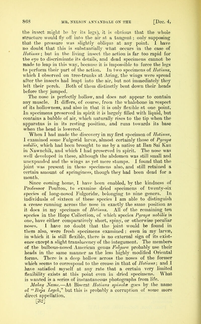 the insvect might be bj its legs), it is obvious that the whole structure would flj off into the air at a tangent; only supposing that the pressure was slightly oblique at any point. 1 have no doubt that this is substantially what occurs in the case of Jlotinus ; but in the living insect the action is far too rapid for the eye to discriminate its details, and dead specimens cannot be made to leap in this way, because it is impossible to force the legs to perform their part of the action. In two specimens of Hotinus, which I observed on tree-trunks at Aring, the wings were spread after the insects had leapt into the air, but not immediately they left their perch. Both of them distinctly bent down their heads before they jumped. The nose is perfectly hollow, and does not appear to contain any muscle. It differs, of course, from the whalebone in respect of its hollowness, and also in that it is only flexible at one point. In specimens preserved in spirit it is largely filled with liquid, but contains a bubble of air, which naturally rises to the tip when the apparatus is in its resting position, and runs towards its base when the head is lowered. When I had made the discovery in my first specimen of Hotinns^ I examined some Bulgorid larvae, almost certainly those of Pyro'ps nobilif!, which had been brought to me by a native at Ban Sai Kau in Nawnchik, and which I had preserved in spirit. The nose was well developed in these, although the abdomen was still small and unexpanded and the wings as yet mere stumps. I found that the joint was present in these specimens also, and still retained a certain amount of springiness, though they had been dead for a month. Since coming home, I have been enabled, by the kindness of Professor Boulton, to examine dried specimens of twenty-six species of long-nosed Bulgorida?, belonging to nine genera. In individuals of sixteen of these species 1 am able to distinguish a crease running across the nose in exactly the same position as it does in my specimen of Hotimis. All of the remaining ten species in the Hope Collection, of which species Pyrops nohilis is one, have either comparatively short, spiny, or otherwise peculiar noses. I have no doubt that the joint would be found in them also, were fresh specimens examined ; even in my larvae, in which it is still flexible, there is no external sign of its exist- ence except a slight translucency of the integument. The members of the bulbous-nosed American genus Fidyora probably use their heads in the same manner as the less highly modified Oriental forms. There is a deep hollow across the noses of the former which seems to correspond to the crease in that of Hotinus; and I have satisfied myself at any rate that a certain very limited flexibility exists at this point even in dried specimens. What is wanted is a series of instantaneous photographs from life. Malay Name.—At Biserat Hotians spinolcB goes by the name of Raja Legeh^^^ but this is probably a corruption of some more direct appellation. [32]