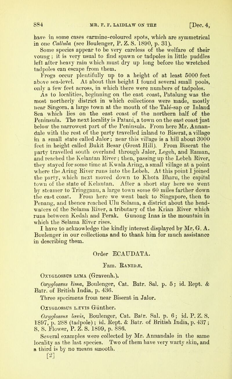 have in some cases carmine-coloured spots, which are symmetrical in one Callula (see Boulenger, P. Z. S. 1890, p. 31). Some species appear to be very careless of the welfare of their vouiig ; it is very usual to find spawn or tadpoles in little puddles left after heavy rain which must dry up long before the wretched tadpoles can escape from them. Progs occur plentifully up to a height of at least 5000 feet above sea-level. At about this height I found several suiall pools, only a few^ feet across, in which there were numbers of tadpoles. As to localities, beginning on the east coast, Patalung was the most northerly district in which collections were made, mostly near Singora, a large town at the mouth of the Tale-sap or Inland Sea which lies on the east coast of the northern half of the Peninsula. The next locality is Patani, a town on the east coast just below the narrowest part of the Peninsula. Prom here Mr. Annan- dale with the rest of the party travelled inland to Biserat, a village in a small state called Jalor; near this village is a hill about 3000 feet in height called Bukit Besar (Great Hill). Prom Biserat the party travelled south overland through Jalor, Legeh, and Paman, and reached the Kelantan Itiver ; then, passing up the Lebeh Eiver, they stayed for some time at Kwala Aring, a small village at a point where the Aring Eiver runs into the Lebeh. At this point I joined the party, which next moved down to Khota Bharu, the capital town of the state of Kelantan. After a short stay here we went by steamer to Tringganu, a large town some 60 miles farther down the east coast. Prom here we went back to Singapore, then to Penang, and thence reached Ulu Selama, a district about the head- waters of the Selama Eiver, a tributary of the Krian Eiver which runs between Kedah and Perak. Gunong Inas is the mountain in which the Selama Eiver rises. I have to acknowledge the kindly interest displayed by Mr. G. A. Boulenger in our collections and to thank him for much assistance in describing them. Order ECAUDATA. Pam. Eanid^. OxYGLOSSUS LIMA (Gravenh.). O^yglossus lima, Boulenger, Cat. Batr. Sal. p. 5; id. Eept. & Batr. of British India, p. 436. Three specimens from near Biserat in Jalor. OxYGLOSsus L^vis Glint her. Oxyglossus lavis, Boulenger, Cat. Batr. Sal. p. 6; id. P. Z. S. 1897, p. 288 (tadpole); id. Eept. & Batr. of British India, p. 437; S. S. Plower, P. Z. S. 1899, p. 886. Several examples w’ere collected by Mr. Annandale in the same locality as the last species. Tw^o of them have very warty skin, and a third is by no means smooth. P]