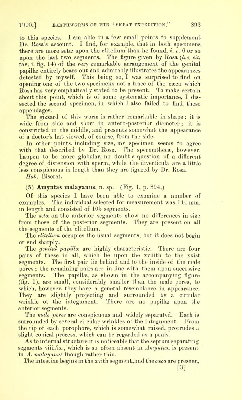 to this species. 1 am able in a few small points to supplement Dr. Eosa’s account. I find, for example, that in both specimens there are more setae upon the clitellum than he found, i. e. 6 or so upon the last two segments. The figure given by Eosa {loc. cit, tav. i. fig. 14) of the very remarkable arrangement of the genital papillae entirely bears out and admirably illustrates the appearances detected by myself. This being so, I was surprised to find on opening one of the two specimens not a trace of the caeca which Eosa has very emphatically stated to be present. To make certain about this point, which is of some systematic importance, I dis- sected the second specimen, in which I also failed to find, these appendages. The gizzard of this worm is rather remarkable in shape ; it is wide from side and short in antero-posterior diameter; it is constricted in the middle, and presents somewhat the appearance of a doctor’s hat viewed, of course, fr<^ra the side. In other points, including size, mv specimen seems to agree with that described by Dr. Eosa. The spermathecae, however, happen to be more globular, no doubt a question of a different degree of distension with sperm, while the diverticula are a little less conspicuous in length than they are figured by Dr. Eosa. Hah. Biserat. (5) Amyntas malayanus, n. sp. (Fig. 1, p. 894.) Of this species I have been able to examine a number of examples. The individual selected for measurement was 144 mm. in length and consisted of 105 segments. The setce on the anterior segments show no differences in size from those of the posterior segments. They are present on all the segments of the clitellum. The clitellum occupies the usual segments, but it does not begin or end sharply. The genital papillce are highly characteristic. There are four pairs of these in all, v\hich lie upon the xviiith to the xxist segments. The first pair lie behind and to the inside of the male pores ; the remaining pairs are in line with them upon successive segments. The papillse, as shown in the accompanying figure (fig. 1), are small, considerably smaller than the male pores, to which, however, they have a general resemblance in appearance. They are slightly projecting and surrounded by a circular wrinkle of the integument. There are no papillae upon the anterior segments. The male pores are conspicuous and widely separated. Each is surrounded by several circular wrinkles of the integument. From the tip of each porophore, which is somewhat raised, protrudes a slight conical process, which can be regarded as a penis. As to internal structure it is noticeable that the septum separating segments viii./ix., which is so often absent in Amyntas, is present in A. malayanus though rather thin. The intestine begins in the xvith segment,and the cceca are present, [3]