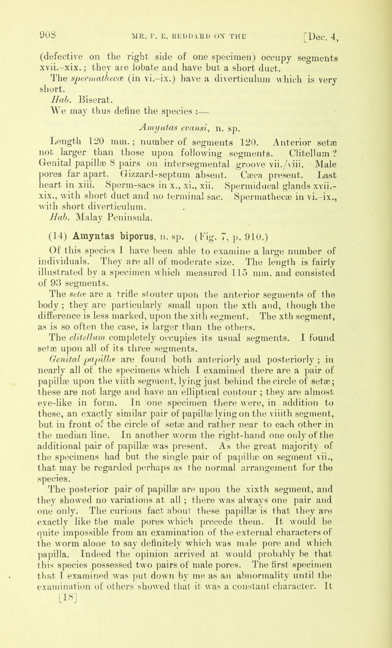 (defective on the right side of one specimen) occupy segments xvii.-xix.; they aie lobate and have but a short duct. The spennatheccB (in vi.-ix.) have a diverticulum which is very short. Hah. Biserat. We may thus define the species :— Amyntas evansi, ii. sp. Length 120 mm.; number of segments 120. Anterior setae not larger than those upon following segments. Clitelhim ? Geoital papillae 8 pairs on intersegmental groove vii./viii. Male pores far apart. Gizzard-septum absent. Caeca present. Last heart in xiii. Sperm-sacs in x., xi., xii. Spermiducal glands xvii.- xix., with short duct and no terminal sac. Spermathecae in vi.-ix., with short diverticulum. Hah. Malay Peninsula. (14) Amyntas biporus, n. sp. (Fig. 7, p. 910.) Of this species I have been able to examine a large number of individuals. They are all of moderate size. The length is fairly illustrated by a specimen which measured 115 mm. and consisted of 93 segments. The setce are a trifle stouter upon the anterior segments of the body; they are particularly small upon the xth and, though the difference is less marked, upon the xitii segment. The xth segment, as is so often the case, is larger than the others. The clitelhim completely occupies its usual segments. I found setse upon all of its three segments. Genital papUhe are found both anteriorly and posteriorly ; in nearly all of the specimens which I examined there are a pair of papillae upon the viith segnaent, lying just behind the circle of setae; these are not large and have an elliptical contour ; they are almost eye-like in form. In one specimen there were, in addition to these, an exactly similar pair of papillae lying on the viiith segment, but in front of the circle of setae and rather near to each other in the median line. In another worm the right-hand one only of the additional pair of papillae w'as present. As the great majority of the specimens had but the single pair of papillae on segment vii., that may be regarded perhaps as the normal arrangement for the species. The posterior pair of papillae are upon the xixth segment, and they showed no variations at all ; there was alwmys one pair and one only. The curious fact about these papillae is that they are exactly like the male pores which precede them. It wmuld be quite impossible from an examination of the external characters of the w’orm alone to say definitely which w^as male pore and which papilla. Indeed the opinion arrived at would probably be that this species possessed two pairs of male pores. The first specimen that [ examined was put down by me as an abnormality until the examination of others showed that it was a constant character. It [IS]