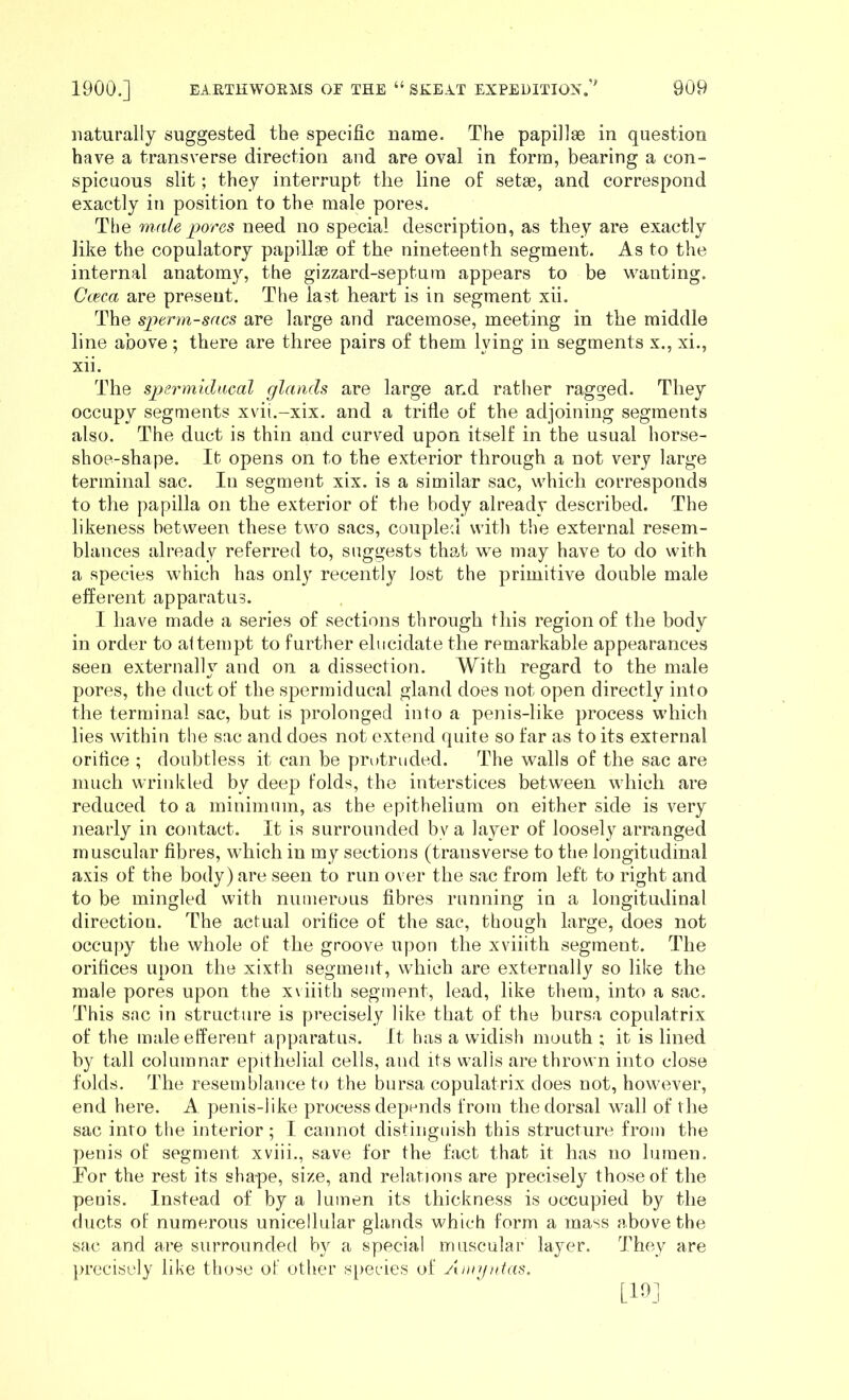 naturally suggested the specific name. The papillse in question have a transverse direction and are oval in form, bearing a con- spicuous slit; they interrupt the line of setae, and correspond exactly in position to the male pores. The mate pores need no special description, as they are exactly like the copulatory papillae of the nineteenth segment. As to the internal anatomy, the gizzard-septum appears to be wanting. Cceca are present. The last heart is in segment xii. The sperm-sacs are large and racemose, meeting in the middle line above; there are three pairs of them lying in segments x., xi., xii. The spermidacal glands are large and rather ragged. They occupy segments xvii.-xix. and a trifie of the adjoining segments also. The duct is thin and curved upon itself in the usual horse- shoe-shape. It opens on to the exterior through a not very large terminal sac. In segment xix. is a similar sac, which corresponds to the papilla on the exterior of the body already described. The likeness between these two sacs, coupled with the external resem- blances already referred to, suggests that we may have to do with a species which has only recently lost the primitive double male efferent apparatus. I have made a series of sections through this region of the body in order to aitempt to further elucidate the remarkable appearances seen externally and on a dissection. With regard to the male pores, the duct of the spermiducal gland does not open directly into the terminal sac, but is prolonged into a penis-like process which lies within the sac and does not extend quite so far as to its external orifice ; doubtless it can be protruded. The walls of the sac are much wrinkled by deep folds, the interstices between which are reduced to a minimum, as the epithelium on either side is very nearly in contact. It is surrounded by a layer of loosely arranged muscular fibres, which in my sections (transverse to the longitudinal axis of the body) are seen to run over the sac from left to right and to be mingled with numerous fibres running in a longitudinal direction. The actual orifice of the sac, though large, does not occupy the whole of the groove upon the xviiith segment. The orifices upon the xixth segment, which are externally so like the male pores upon the x\iiith segment, lead, like them, into a sac. This sac in structure is precisely like that of the bursa copulatrix of the male efferent apparatus. It has a widish mouth : it is lined by tall columnar epithelial cells, and its walls are thrown into close folds. The resemblance to the bursa copulatrix does not, however, end here. A penis-like process depends from the dorsal wall of the sac into the interior ; I cannot distinguish this structure from the penis of segment xviii., save for the fact that it has no lumen. Tor the rest its shape, size, and relations are precisely those of the penis. Instead of by a lumen its thickness is occupied by the ducts of numerous unicellular glands which form a mass above the sac and ai*e surrounded by a special muscular layer. They are jirecisely like those of other species of Amiiiitas. [19]