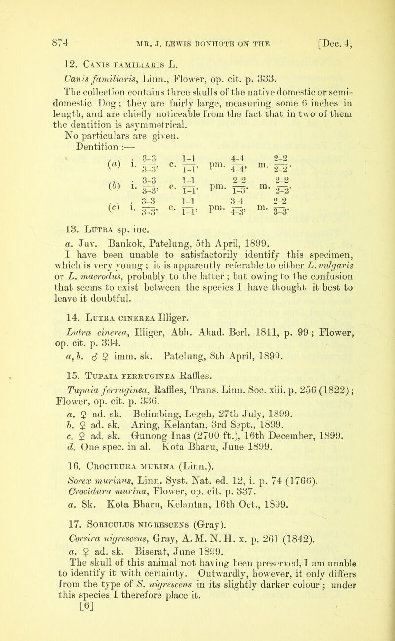 12. Canis eamiliaris L. Cam's familiaris, Linn., Flower, op. cit. p. 333. The collection contains three skulls of the native domestic or semi- domestic Dog ; they are fairly large, measuring some 6 inches in length, and are chiefly noticeable from the fact that in two of them the dentition is asymmetrical. No particulars are given. Dentition :— (») 3-3 1-1 4-4 2-2 i. 3-3’ c. 1-1’ Pm- 414’ m. 2-2' (0 i. 3-3 3-3’ c. 1-1 l-r 2-2 pm. I-3, m. 2-2 2-2' («) 3-3 1-1 3-4 2-2 i. 3-3’ c. i-r Pm* 4=3’ m. 3-3* 13. Ltjtra sp. inc. a. Juv. Bankok, Patelung, 5th April, 1899. I have been unable to satisfactorily identify this specimen, which is very young ; it is apparently referable to either L. vulgaris or L. macrodus, probably to the latter; but owing to the confusion that seems to exist between the species I have thought it best to leave it doubtful. 14. Ltjtra ciherea Illiger. Lutra cinerea, Illiger, Abh. Akad. Berl. 1811, p. 99 ; Flower, op. cit. p. 334. a, b. $ $ imm. sk. Patelung, 8th April, 1899. 15. Tupaia eerrtjgihea Baffles. Tupaia ferruginea, Baffles, Trans. Linn. Soc. xiii. p. 256 (1822) ; Flower, op. cit. p. 336. a. 2 ad. sk. Belimbing, Legeh, 27th July, 1899. b. 5 ad. sk. Aring, Kelantan, 3rd Sept., 1899. c. $ ad. sk. G-unong Inas (2700 ft.), 16th December, 1899. d. One spec, in al. Kota Bharu, June 1899. 16. Crocidura muriha (Linn.). Sorex murinus, Linn. Syst. Nat. ed. 12, i. p. 74 (1766). Crocidura murina, Flower, op. cit. p. 337. a. Sk. Kota Bharu, Kelantan, 16th Oct., 1899. 17. Soriceltjs higrescens (Gray). Corsira nigrescens, Gray, A. M. N.H. x. p. 261 (1842). a. $ ad. sk. Biserat, June 1899. The skull of this animal not having been preserved, I am unable to identify it with certainty. Outwardly, however, it only differs from the type of S. nigrescens in its slightly darker colour; under this species I therefore place it. L6J
