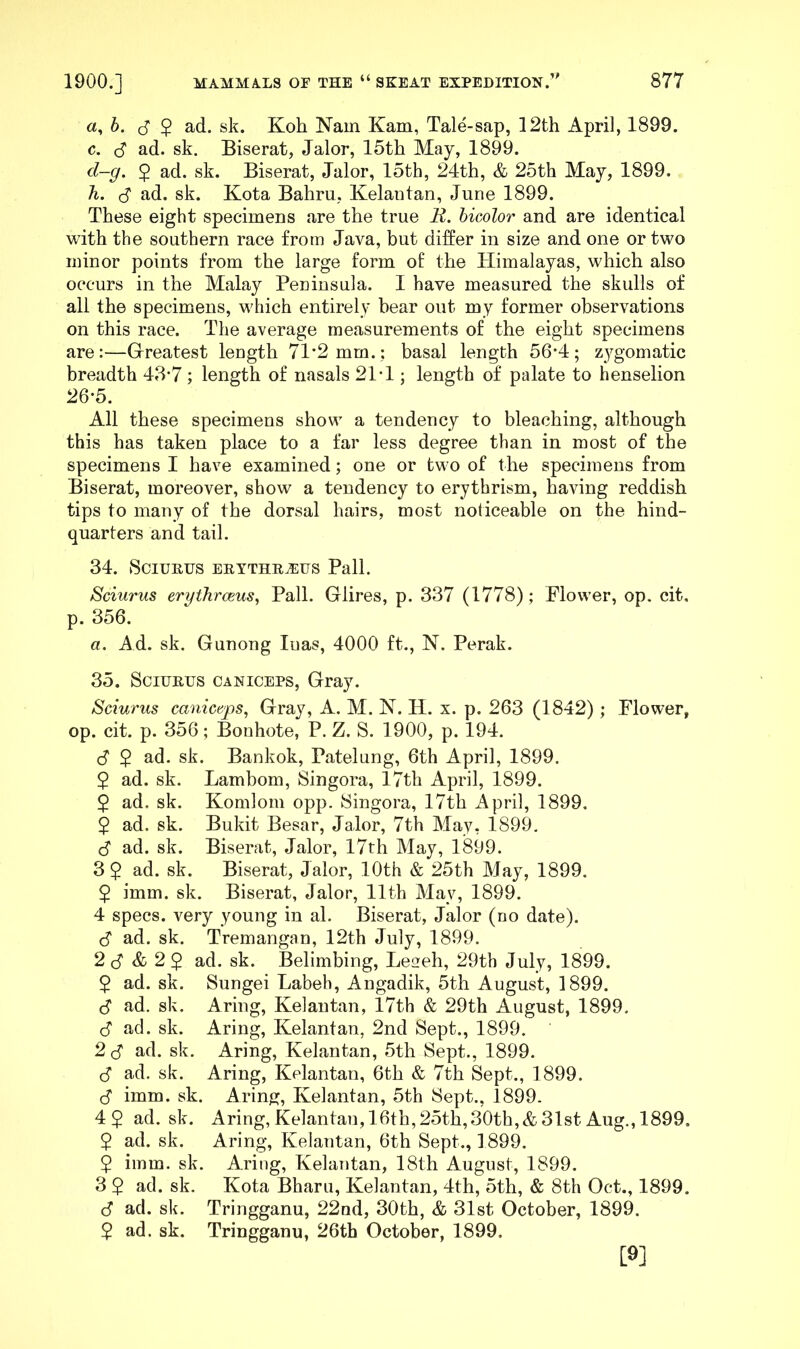 a, b. d $ ad. sk. Koh Nam Kam, Tale-sap, 12th April, 1899. c. d ad. sk. Biserat, Jalor, 15th May, 1899. d-g. 5 ad. sk. Biserat, Jalor, 15th, 24th, & 25th May, 1899. h. d ad. sk. Kota Bahru, Kelautan, June 1899. These eight specimens are the true R. bicolor and are identical with the southern race from Java, but differ in size and one or two minor points from the large form of the Himalayas, which also occurs in the Malay Peninsula. I have measured the skulls of all the specimens, which entirely bear out my former observations on this race. The average measurements of the eight specimens are:—Greatest length 71*2 mm.; basal length 56*4; zygomatic breadth 43*7; length of nasals 21*1; length of palate to henselion 26*5. All these specimens show a tendency to bleaching, although this has taken place to a far less degree than in most of the specimens I have examined; one or two of the specimens from Biserat, moreover, show a tendency to erythrism, having reddish tips to many of the dorsal hairs, most noticeable on the hind- quarters and tail. 34. Sciurus erythr^eus Pall. Sciurus erythrceus, Pall. Glires, p. 337 (1778) ; Flower, op. cit, p. 356. a. Ad. sk. Gunong Iuas, 4000 ft., N. Perak. 35. Sciurus caniceps, Gray. Sciurus caniceps, Gray, A. M. N. H. x. p. 263 (1842) ; Flower, op. cit. p. 356; Bonhote, P. Z. S. 1900, p. 194. d 2 ad. sk- Bankok, Patelung, 6th April, 1899. 2 ad. sk. Lambom, Singora, 17th April, 1899. 2 ad. sk. Komlom opp. Singora, 17th April, 1899. 2 ad. sk. Bukit Besar, Jalor, 7th May, 1899. d ad. sk. Biserat, Jalor, 17th May, 1899. 3$ ad. sk. Biserat, Jalor, 10th & 25th May, 1899. 5 imm. sk. Biserat, Jalor, 11th May, 1899. 4 specs, very young in al. Biserat, Jalor (no date). d ad. sk. Tremangan, 12th July, 1899. 2 d & 2 2 ad. sk. Belimbing, Leseh, 29th July, 1899. 2 ad. sk. Sungei Labeh, Angadik, 5th August, 1899. d ad. sk. Aring, Kelautan, 17th & 29th August, 1899. d ad. sk. Aring, Kelantan, 2nd Sept., 1899. 2 d ad. sk. Aring, Kelantan, 5th Sept., 1899. d ad. sk. Aring, Kelantan, 6th & 7th Sept., 1899. d imm. sk. Aring, Kelantan, 5th Sept., 1899. 4$ ad.sk. Aring, Kelantan, 16th, 25th,30th,& 31st Aug., 1899. 2 ad. sk. Aring, Kelantan, 6th Sept., 1899. $ imm. sk. Aring, Kelantan, 18th August, 1899. 3 2 ad. sk. Kota Bharu, Kelantan, 4th, 5th, & 8th Oct., 1899. d ad. sk. Tringganu, 22nd, 30th, & 31st October, 1899. 2 ad. sk. Tringganu, 26th October, 1899. P]