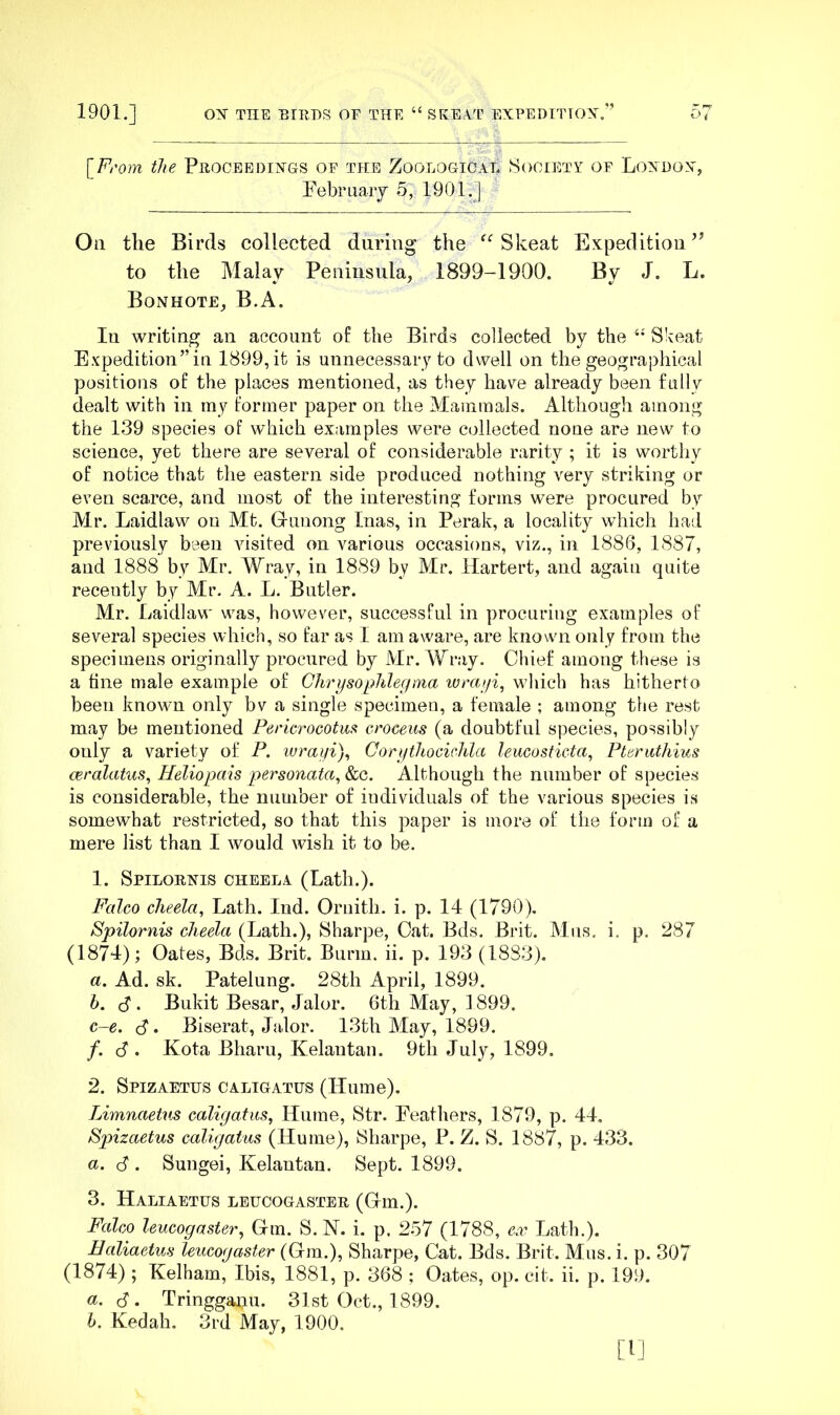 1901.] o:sr the birds of the “ sk:ea.t expedtttox/’ [F/’Om the PROCEEDIiSrGS OF THE ZOOLOGICAL SOCIETY OF LOXDGX, Febriiaiy 5, 1901.] Oil the Birds collected during the Skeat Expedition to the Malay Peninsula, 1899-1900. By J. L. Bonhote, B.A. In writing an account of the Birds collected by the Skeat Expedition”in 1899, it is unnecessary to dwell on the geographical positions of the places mentioned, as they ha Ye already been fully dealt with in my former paper on the Mammals. Although among the 139 species of which examples were collected none are new to science, yet there are several of considerable rarity ; it is worthy of notice that the eastern side produced nothing very striking or even scarce, and most of the interesting forms were procured by Mr. Laidlaw on Mt. G-unong Inas, in Perak, a locality which had previously been visited on various occasions, viz., in 1886, 1887, and 1888 by Mr. Wray, in 1889 by Mr. llartert, and again quite recently by Mr. A. L. Butler. Mr. Laidlaw was, however, successful in procuring examples of several species which, so far as I am aware, are known only from the specimens originally procured by Mr. Wray. Chief among these is a tine male example of Chrysophlegina lurayi, which has hitherto been known only bv a single specimen, a female ; among the rest may be mentioned Pericrocotm croceus (a doubtful species, possibly only a variety of P. lurayi)^ CorythooiMa leucosticta, Pteruthius ceralatus, Heliopais personata, &c. Although the number of species is considerable, the number of individuals of the various species is somewhat restricted, so that this paper is more of the form of a mere list than I would wish it to be. 1. Spilornis oheela (Lath.). Falco cheela, Lath. Ind. Oruith. i. p. 14 (1790). Spilornis cheela (Lath.), Sharpe, Oat. Bds. Brit. Mus. i. p. 287 (1874); Oates, Bds. Brit. Bunn. ii. p. 193 (1883). a. Ad. sk. Patelung. 28th April, 1899. h. B. Bukit Besar, Jalor. 6th May, 1899. c-e. (8. Biserat, Jalor. 13th May, 1899. /. 6 . Kota Bharu, Kelantau. 9th July, 1899. 2. Spizaettjs caligatus (Hume). TAmnaetus caligatus, Hume, Str. Feathers, 1879, p. 44, Sgnzaetus caligatus (Hume), Sharpe, P. Z. S. 1887, p. 433. a. <8 . Sungei, Kelantan. Sept. 1899. 3. Haliaetus lbucogaster (Grin.). Falco leucogaster, Grin. S. N. i. p. 2-57 (1788, ea? Lath.). Haliaetus leucogaster (Gm.), Sharpe, Cat. Bds. Brit. Mus. i. p. 307 (1874) ; Kelham, Ibis, 1881, p. 368 ; Oates, op. cit. ii. p. 199. a. (S. Tringganu. 31st G)ct., 1899. l>. Kedah. 3rd May, 1900. [1]