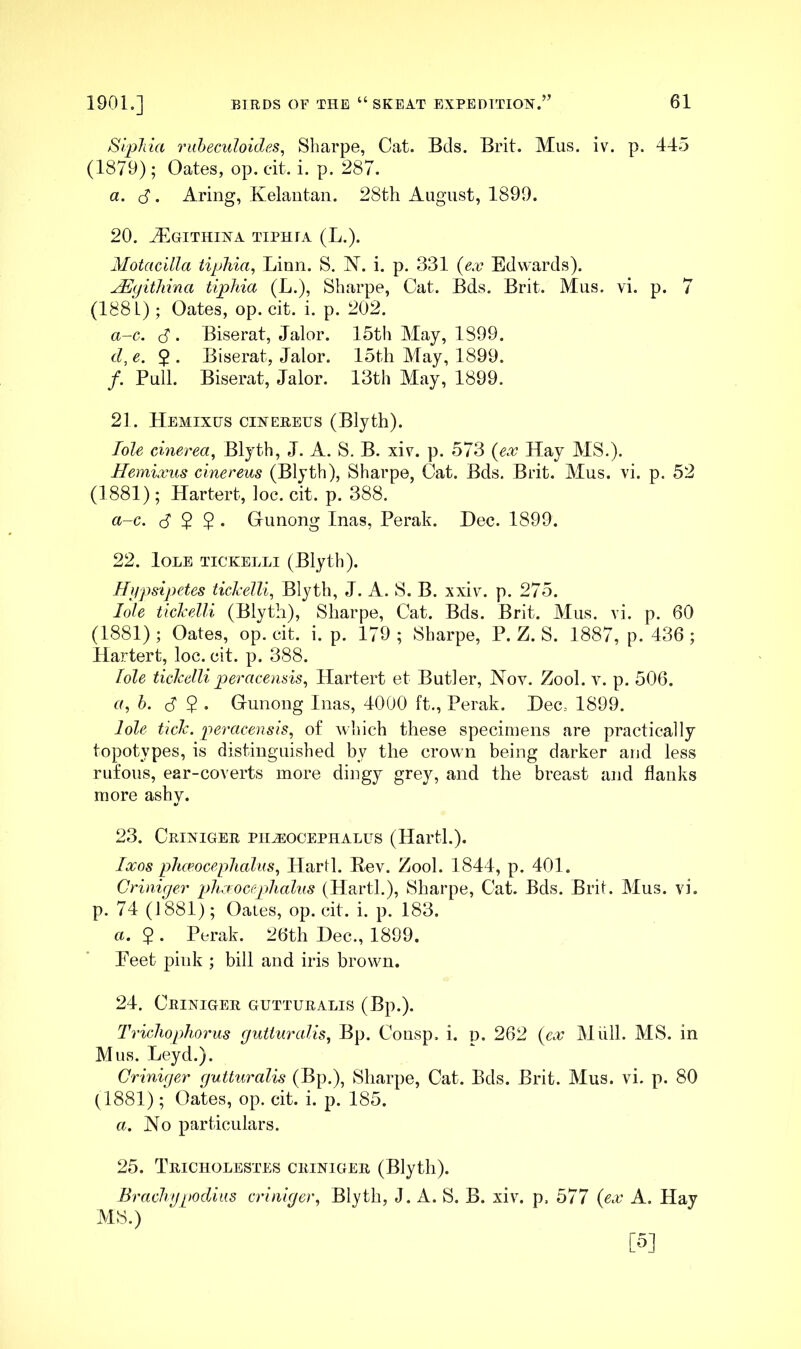 Slpliia ruheculoides, Sliarpe, Cat. Bds. Brit. Mus. iv. p. 445 (1879); Oates, op. c-it. i. p. 287. a. (S. Aring, Kelantan. 28th August, 1899. 20. ^GITHINA TIPHIA (L.). Motacilla tiphia, Linn. S. N. i. p. 331 {ex Edwards). uEyithina tiphia (L.), Sharpe, Cat. Bds. Brit. Mus. vi. p. 7 (1881); Oates, op. cit. i. p. 202. a-c. d . Biserat, Jalor. 15th May, 1899. d, e. $ . Biserat, Jalor. 15th May, 1899. /. Pull. Biserat, Jalor. 13th May, 1899. 21. Hemixus cineeeus (Blyth). dole cinerea^ Blyth, J. A. S. B. xiv. p. 573 {ex Hay MS.). Hemixus cinereus (Blyth), Sharpe, Cat. Bds. Brit. Mus. vi. p. 52 (1881); Hartert, loc. cit. p. 388. a-c. d 2 2 • Grimong Inas, Perak. Dec. 1899. 22. lOLE TICKELLI (Blyth). Hypsipetes tickelli, Blyth, J. A. 8. B. xxiv. p. 275. dole tickelli (Blyth), Sharpe, Cat. Bds. Brit. Mus. vi. p. 60 (1881) ; Oates, op. cit. i. p. 179 ; Sharpe, P. Z. S. 1887, p. 436 ; Hartert, loc. cit. p. 388. dole ticlcelliperacensis., Hartert et Butler, Hov. Zool. p. 506. e, b. d 2 • Grunong Inas, 4000 ft., Perak. Dec, 1899. dole ticJc. peracensis, of which these specimens are practically topotypes, is distinguished by the crown being darker and less rufous, ear-coverts more dingy grey, and the breast and flanks more ashy. 23. Criniger ph^ocephalus (Hartl.). dxos plueoceplialus., Hartl. Rev. Zool. 1844, p. 401. Criniger phaoceplialns (Hartl.), Sharpe, Cat. Bds. Brit. Mus. vi. p. 74 (1881); Oates, op. cit. i. p. 183. a. 2 • Perak. 26th Dec., 1899. Eeet pink ; bill and iris brown. 24. Criniger gutteralis (Bp.). Trichophorus gutturalis, Bp. Consp. i. p. 262 {ex Miill. MS. in Mus. Leyd.). Criniger guttw'alis (Bp.), Sharpe, Cat. Bds. Brit. Mus. vi. p. 80 (1881); Oates, op. cit. i. p. 185. a. No particulars. 25. Tricholestes criniger (Blyth). Brachgpodius criniger, Blyth, J. A. S. B. xiv. p, 577 {ex A. Hay MS.) [5]