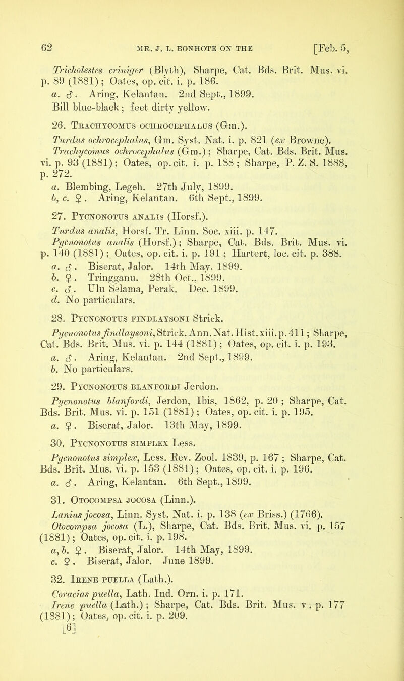 TricJiolestes criniger (Blyth), Sharpe, Cat. Bds. Brit. Mus. vi. p. 89 (1881); Oates, op. cit. i. p. 186. a. (S. Aring, Kelantan. 2nd Sept., 1899. Bill blue-black; feet dirty yellow. 26. Trachycomus ochrocephalus (G-m.). Turdus ochrocephalus. Ora. Syst. Nat. i. p. 821 {ex Browne). Trachycomus ochrocephalus (Ora.); Sharpe, Cat. Bds. Brit. Mus. vi. p. 93 (1881); Oates, op. cit. i. p. 188 ; Sharpe, P. Z. S. 1888, p. 272. a. Blembing, Legeh. 27th July, 1899. h, c. $ . Aring, Kelantan. 6th Sept., 1899. 27. Pychonotus ahalis (Horsf.). Turdus analis, Horsf. Tr. Linn. Soc. xiii. p. 147. Pycnonotus analis (Horsf.) ; Sharpe, Cat. Bds. Brit. Mus. vi. p. 140 (1881); Oates, op. cit. i. p. 191 ; Hartert, loc. cit. p. 388. a. Biserat, Jalor. 14th May, 1899. h. 2 • Tringganu. 28th Oct., 1899. c. S. Ulu Selama, Perak. Dec. 1899. d. No particulars. 28. Pychohotus einelaysoni Strick. Pycnonotus Jindlaysoni, Strick, Ann. Nat. Hist. xiii. p. 411; Sharpe, Cat. Bds. Brit. Mus. vi. p. 144 (1881); Oates, op. cit. i. p. 193. a. S • Aring, Kelantan. 2nd Sept., 1899. h. No particulars. 29. Pycnonotus blaneordi Jerdon. Pycnonotus hlanfordi, Jerdon, Ibis, 1862, p. 20 ; Sharpe, Cat. Bds. Brit. Mus. vi. p. 151 (1881); Oates, op. cit. i. p. 195. a. $ . Biserat, Jalor. 13th May, 1899. 30. Pycnonotus simplex Less. Pycnonotus simplex, Less. Bev. Zool. 1839, p. 167; Sharpe, Cat. Bds. Brit. Mus. vi. p. 153 (1881); Oates, op. cit. i. p. 196. a. S. Aring, Kelantan. 6th Sept., 1899. 31. Otocompsa jocosa (Linn.). Lanius jocosa, Linn. Syst. Nat. i. p. 138 (ex Briss.) (1766). Otocompsa jocosa (L.), Sharpe, Cat. Bds. Brit. Mus. vi. p. 157 (1881); Oates, op. cit. i. p. 198. a,h. $. Biserat, Jalor. 14th May, 1899. c. Biserat, Jalor. June 1899. 32. Irene puella (Lath.). Coracias puella, Lath. Ind. Orn. i. p. 171. Irene puella (hviih.)Sharpe, Cat. Bds. Brit. Mus. v . p. 177 (1881); Oates, op. cit. i. p. 209. L«]