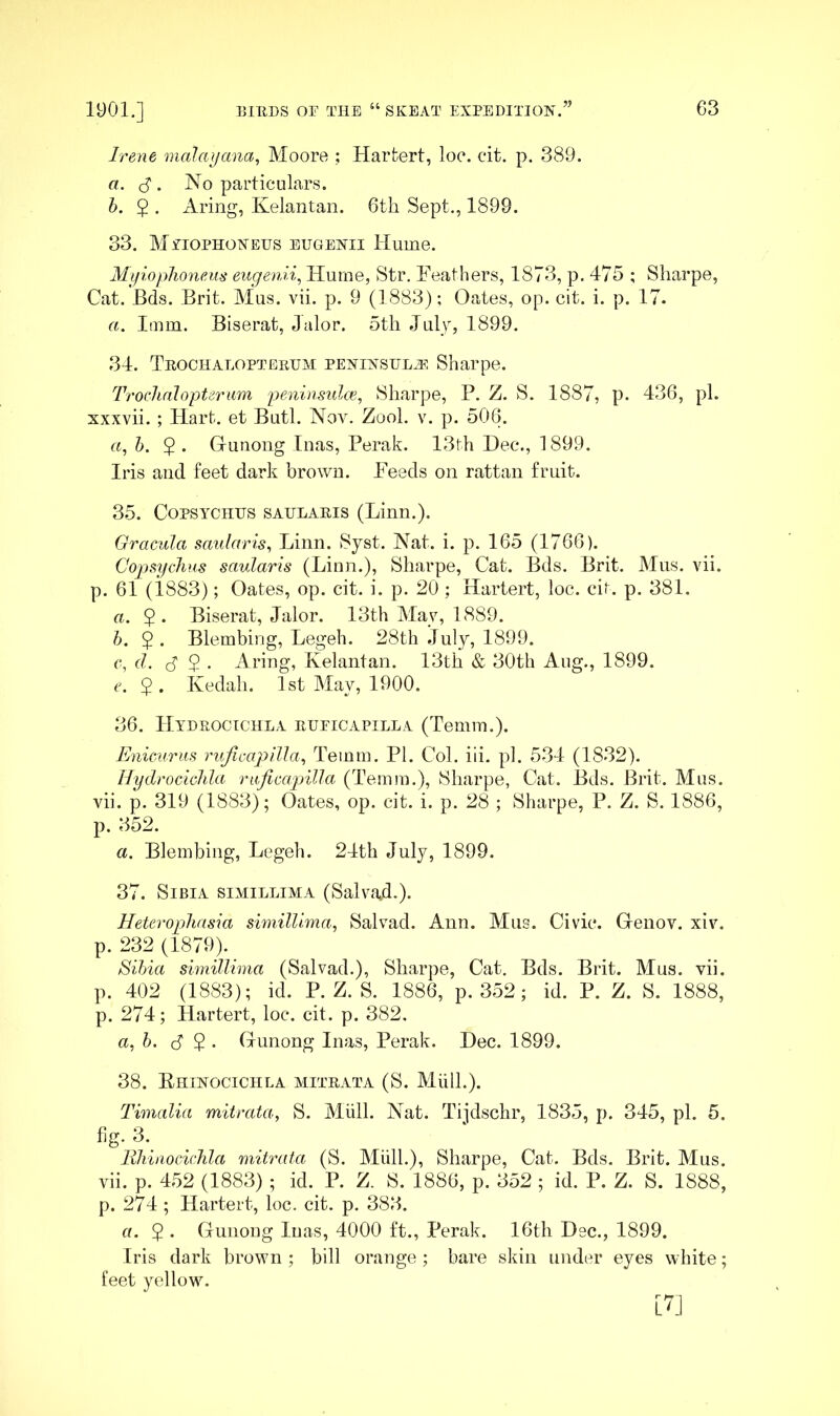 Irene inalayana, Moore ; Harfcert, loc. cit. p. 389. a. S . No particulars. h. 2 • Aring, Kelantan. 6th Sept., 1899. 33. MfioPHONEUs EUGENii Hume. Myioplioneus eugenii, Hume, Str. Feathers, 1873, p. 475 ; Sharpe, Cat. Bds. Brit. Mus. vii. p. 9 (1883); Oates, op. cit. i. p. 17. a. Imm. Biserat, Jalor. 5th July, 1899. 34. ThochADOPTEKUM PENiNSULj^; Sharpe. TrochnlopUriim peninsulce, Sharpe, P. Z. S. 1887, p. 436, pi. xxxvii. ; Hart, et Butl. Nov. Zool. v. p. 506. G, h. 2 • Grunong luas, Perak. 13th Dec., 1899. Iris and feet dark brown. Feeds on rattan fruit. 35. CopsYCHHS SAULARis (Linn.). Gracula saularis, Linn. Syst. Nat. i. p. 165 (1766). CopsycluLS saularis (Linn.), Sharpe, Cat. Bds. Brit. Mus. vii. p. 61 (1883); Oates, op. cit. i. p. 20; Hartert, loc. cit. p. 381. a. $. Biserat, Jalor. 13th May, 1889. h. 5 • Blembing, Legeh. 28th July, 1899. c, d. d 2 ■ Aring, Kelantan. 13th & 30th Aug., 1899. e. $. Kedah. 1st May, 1900. 36. Hydrocichla eueicapilla (Temm.). Enicuriis riijicapilla, Temm. PI. Col. iii. pi. 534 (1832). Hydrocichla rnficapilla (Temm.), Sharpe, Cat. Bds. Brit. Mus. vii. p. 319 (1883); Oates, op. cit. i. p. 28 ; Sharpe, P. Z. S. 1886, p. 352. a. Blembing, Legeh. 24th July, 1899. 37. SiBiA siMiLLiMA (Salva>d.). Heterophasia shnilUma, Salvad. Ann. Mus. Civic. Genov, xiv. p. 232 (1879). Sihia simillima (Salvad.), Sharpe, Cat. Bds. Brit. Mus. vii. p. 402 (1883); id. P. Z. S. 1886, p. 352; id. P. Z. S. 1888, p. 274; Hartert, loc. cit. p. 382. a, b. d 2 ' Gunong Inas, Perak. Dec. 1899. 38. Ehinocichla aiitrata (S. Midi.). Thnalia mitrata, S. Mull. Nat. Tijdschr, 1835, p. 345, pi. 5. fig. 3. llhiiiocichla mitrata (S. Miill.), Sharpe, Cat. Bds. Brit. Mus. vii. p. 452 (1883) ; id. P. Z. S. 1886, p. 352 ; id. P. Z. S. 1888, p. 274 ; Hartert, loc. cit. p. 383. a. $ . Gunong Inas, 4000 ft., Perak. 16th Dec., 1899. Iris dark brown ; bill orange ; bare skin under eyes white; feet yellow. [7]