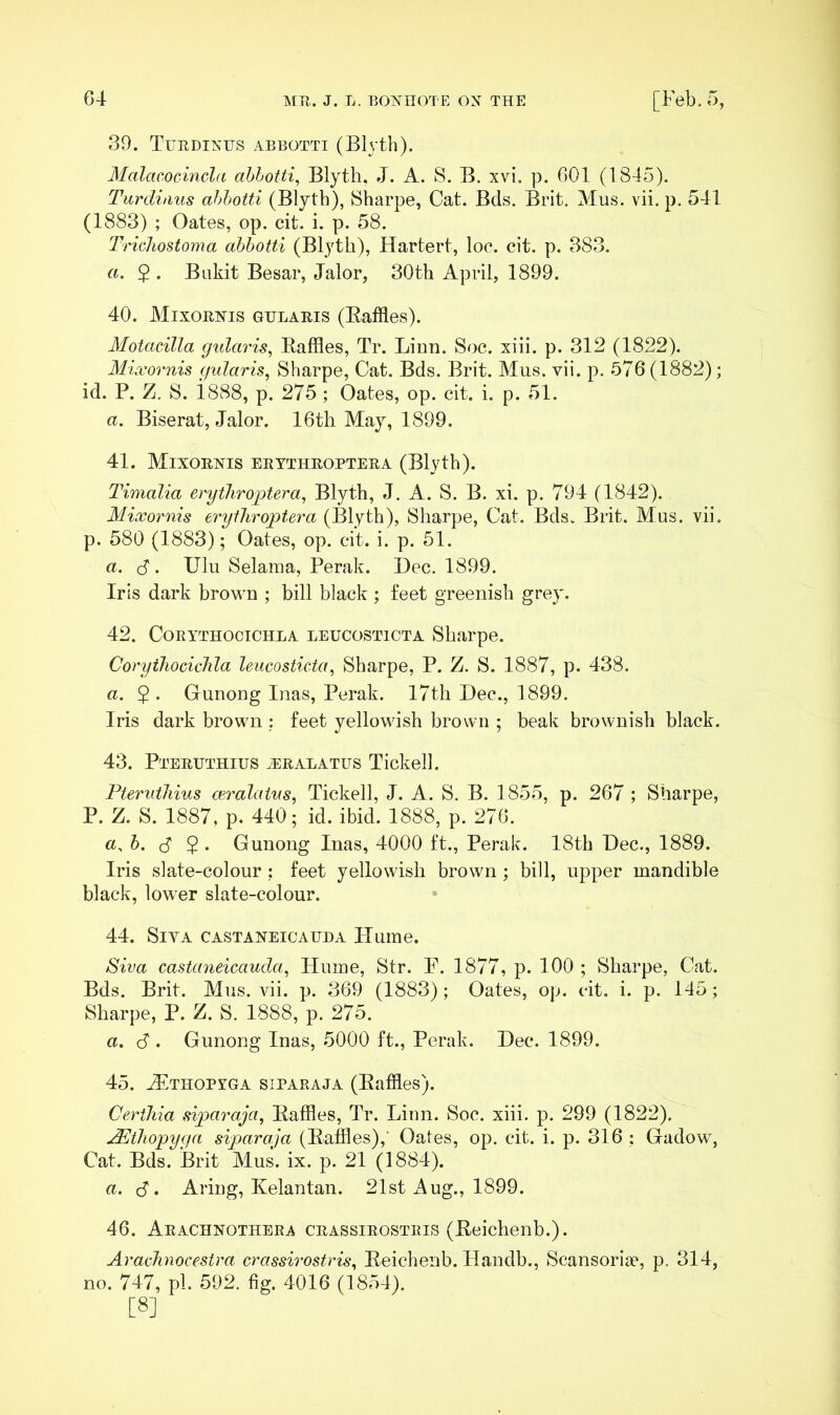 39. Turdixtjs abbotti (Blytli). Malacocinda ahhotti, Blytli, J. A. S. B. xvi. p. 601 (1845). Turditius ahhotti (Blyth), Sharpe, Cat. Bds. Brit. Mus. vii. p. 541 (1883) ; Oates, op. cit. i. p. 58. Trichostoma ahhotti (Blyth), Hartert, loe. cit. p. 383. a. 2 • Biikit Besar, Jalor, 30th April, 1899. 40. Mixorxis gtjlaris (Baffles). Motacilla gularis^ Baffles, Tr. Lima. Soc. xiii. p. 312 (1822). Mixornis c/ularis, Sharpe, Cat. Bds. Brit. Mus. vii. p. 576 (1882); id. P. Z, S. i888, p. 275 ; Oates, op. cit. i. p. 51. a. Biserat, Jalor. 16th May, 1899. 41. Mixorxis erythroptera (Blyth). T'imalia erytJiroptera, Blyth, J. A. S. B. xi. p. 794 (1842). Mixornis erytliroptera (Blyth), Sharpe, Cat. Bds. Brit. Mus. vii. p. 580 (1883); Oates, op. cit. i. p. 51. a. (S. Ulu Selama, Perak. Dec. 1899. Iris dark brovi’u ; bill black ; feet greenish grey. 42. CoRYTHOCiCHLA LEUCOSTiCTA Sharpe. CorythocicJila leucosticta, Sharpe, P. Z. S, 1887, p. 438. a. 5 . Gunoug Inas, Perak. 17th Dec., 1899. Iris dark brown : feet yellowish brown ; beak brownish black. 43. Pteruthius ^eralatus Tickell. Fteruthius ceralatns, Tickell, J. A. S. B. 1855, p. 267 ; Sharpe, P. Z. S. 1887, p. 440; id. ibid. 1888, p. 276. a,h. (S 2 ‘ Gunong Inas, 4000 ft., Perak. 18th Dec., 1889. Iris slate-colour; feet yellowish brown; bill, upper mandible black, lower slate-colour. 44. Siva castaxeicauda Hume. Siva castaneicauda, Hume, Str. F. 1877, p. 100 ; Sharpe, Cat. Bds. Brit. Mus. vii. p. 369 (1883); Oates, op. cit. i. p. 145; Sharpe, P. Z. S. 1888, p. 275. a. 6 . Gunong Inas, 5000 ft., Perak. Dec. 1899. 45. Aithopyga siparaja (Baffles). Ceriliia siparaja, Baffles, Tr. Linn. Soc. xiii. p. 299 (1822). M^thopyya siparaja (Baffles),' Oates, op. cit. i. p. 316 : Gadow, Cat. Bds. Brit Mus. ix. p. 21 (1884). a. B. Aring, Kelantan. 21st xAug., 1899. 46. Arachxotheea crassirosteis (Beichenb.). Arachnocestra crassh'ostris, Beichenb. Handb., Scansoriae, p. 314, no. 747, pi. 592. fig. 4016 (1851). [8]