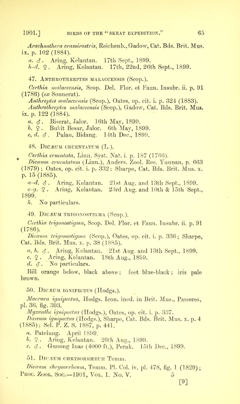 AracJinotJiera crassirostris, Heichenb., Gradow, Cat. Bds. Brit. Mus. ix. p. 102 (1884). a. S' Aring, Keiantan. 17th Sept., 1899. h~d. 5 . Aring, Kelantan. 17th, 22nd, 26th Sept., 1899. 47. Ahthrothrbptes malaccensis (Scop.). Certhia malaccensis, Scop. Del. Flor. et haim. Insubr. ii. p. 91 (1786) (ex Sonnerat). Anthreptes malaccensis (Scop.), Oates, op. cit. i. p. 324 (1883). Anthrothreptes malaccensis (Scop.), Gadow, Cat. Bds. Brit. Mua. ix. p. 122 (1884). a. S' Biserat, Jalor. 16th Alay, 1899. h. $ . Bukit Besar, Jalor. 6th May, 1899. d. S . Pulaii, Bidang. 14th Dec., 1899. 48. Dictum crhehtatum (L.). Certhia cruentata, Linn. Syst. Nat. i. p. 187 (1766). Diccmmi cruentatmn (Linn.), Anders. Zool. Bes. Yunnan, p. 663 (1879); Oates, op. cit. i. p. 332; Sharpe, Cat. Bds. Brit. Mus. x. p. 15 (1885). a-d. S ' Aring, Kelantan. 21st Aug. and 13th Sept., 1899. e-(j. 2 . Aring, Kelantan. 23rd Aug. and 10th & 15th Sept., 1899. h. No particulars. 49. DlCJiUM TRIGONOSTIGMA (Scop.). Certhia trigonostigma, Scop. Del. Flor. et Faun. Insubr. ii. p. 91 (1786). Diccmm trigonostigm.a (Scop.), Oates, op. cit. i. p. 336 ; Sharpe, Cat. Bds. Brit. Mus. x. p. 38 (1885). G, h. S' Aring, Kelantan. 21st Aug. and 13th Sept., 1899. c. 5 . Aring, Kelantan. 18th Aug., 1899. d. S' No particulars. Bill orange below, black above; feet blue-black; iris pale brown. 50. Dic.ehm ignipectus (Hodgs.). Macrura ignipectus, Hodgs. Icon. ined. in Brit. Mus., Passeres, pi. 36. fig. 393. Myzanthe ignipectus (Hodgs.), Oates, op. cit. i. p. 337. Dicceum ignipectus (Hodgs.), Sharpe, Cat. Bds. Brit. AIus. x. p. 4 (1885); Sci. P. Z. S. 1887, p. 441. a. Patelung. April 1899. h. . Aring, Kelantan. 26lh Aug., 1899. c. S' Gunong Inas (4000 ft.), Perak. 15th Dec., 1899. 51. Dic.eum citrysorrheum Temm. Bicmim chrysondieum, Temm. PI. Col. iv. pi. 478, fig. 1 (1829) ; Proc. Zool. Soc.—1901, Vol. I. No. V. 5 [9]