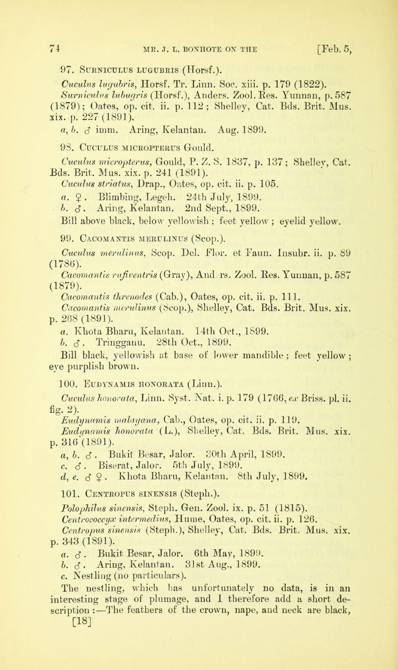 97. SuRXicuLus LUGUBRis (Horsf.). Cuculus Ivguhris, Horsf. Tr. Linn. Soc. xiii. p. 179 (1822). Surrticulus luhugris (Horsf.), Anders. Zool.Fes. Yunnan, p. 587 (1879); Oates, op. cit. ii. p. 112; Shelley, Cat. Bds. Brit. Mus. xix. p. 227 (1891). rt, b. (5 imm. Aring, Kelantau. Aug. 1899. 98. Cuculus micropterus Gould. Cuculus micropterus, Gould, P. Z. S. 1837, p. 137; Shelley, Cat. Bds. Brit. Mus. xix. p. 241 (1891). Cuculus striatus, Drap., Oates, op. cit. ii. p. 105. a. 5 . Blimbing, Legeh. 24th July, 1899. h. S- Aring, Kelantan. 2nd Sept., 1899. Bill above black, below yellowish ; feet yellow ; eyelid yellow. 99. Cacomaxtis merulixus (Scop.). Cucuhis meriilinus. Scop. Del. Flor. et Faun. Insubr. ii. p. 89 (1786). Cacomantls rufiventris (Gray), And rs. Zool. Ees. Yunnan, p. 587 (1879). Cacomantls threnodes (Cab.), Oates, op. cit. ii. p. 111. Cacomantis merulinus (Scop.), Shelley, Cat. Bds. Brit. Mus. xix. p. 268 (1891). a. Khota Bharu, Kelantau. 14th Oct., 1899. h. S'. Tringganu. 28th Oct., 1899. Bill black, yellowish at base of lower mandible ; feet yellow ; eye purplish brown. 100. Eudyxamis hoxorata (Linn.). Cuculus honorata, Linn. Syst. jNat. i. p. 179 (1766, e,v Briss. pi. ii. fig. 2). Eudynamis malayana, Cab., Oates, op. cit. ii. p. 119. Eudiinamis honorata (L.), Shelley, Cat. Bds. Brit. Mus. xix, p. 316'(1891). a,h. 8 . Bukit Besar, Jalor. 30th April, 1899. c. <S . Biserat, Jalor. 5th July, 1899. d, e. B $ . Khota Bharu, Kelantau. 8th July, 1899. 101. Cextropus sixexsis (Steph.). Polophilus sinensis, Steph. Gen. Zool. ix. p. 51 (1815). Centrococcyx intermedins, Hume, Oates, op. cit. ii. p. 126. Centropus sinensis (Steph.), Shelley, Cat. Bds. Brit. Mus. xix. p. 343 (1891). a. C . Bukit Besar, Jalor. 6th May, 1899. h, S'. Aring, Kelantan. 31st Aug., 1899. c. JS’estliug (no particulars). The nestling, wdiich has unfortunately no data, is in an interesting stage of plumage, and I therefore add a short de- scription :—The feathers of the crown, nape, and neck are black, [18]