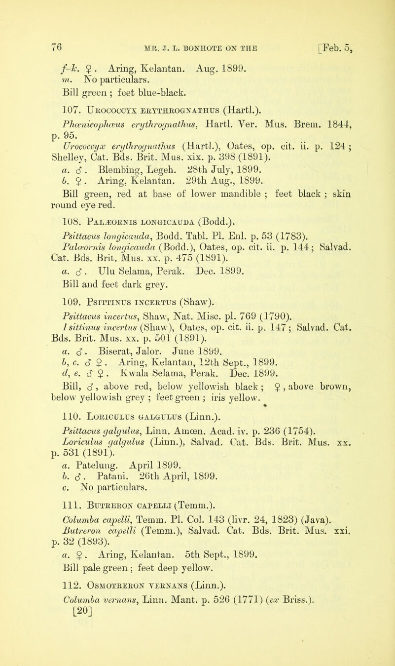 f-h. 5 . Aring, Kelantan. Aug. 1899. m. No particulars. Bill green ; feet blue-black. 107. Urococcyx erythrogxathus (Hartl.). PhoenicophcBus erythi'oynathus^ Hartl. Yer. Mus. Brem. 1844, p. 95. Urococcyx erythrognathus (Hartl.), Oates, op. cit. ii. p. 124 ; Shelley, Oat. Bds. Brit. Mus. xix. p. 398 (1891). a. (S . Bleinbing, Legeh. 28th July, 1899. h. $ . Aring, Kelantan. 29th Aug., 1899. Bill green, red at base of lower mandible ; feet black ; skin round eye red. 108. PALiEORXIS LOXGICAUDA (Bodd.). Psittacus longicauda, Bodd. Tabl. PI. Enl. p. 53 (1783). Palceornis longiccmda (Bodd.), Oates, op. cit. ii. p. 144; Salvad. Cat. Bds. Brit. AIus. xx. p. 475 (1891). a. d . Ulu Selama, Perak. Dec. 1899. Bill and feet dark grey. 109. PsiTTixus ixcERTUs (Shaw). Psittacus incertus^ Shaw, Nat. Ylisc. pi. 769 (1790). Isittinus incertus (Shaw), Oates, op. cit. ii. p. 147; Salvad. Cat. Bds. Brit. Mus. xx. p. 501 (1891). a. (S. Biserat, Jalor. June 1899. b. c. 3 $ . Aring, Kelantan, 12fch Sept., 1899. d, e. d 2 • Kwala Selama, Perak. Dec. 1899. Bill, 3, above red, below yellowish black ; 2 ? above brown, below yellowish grey ; feet green ; iris yellow. 110. Lorigglus galgulus (Linn.). Psittacus galgtdus, Linn. Amoen. Acad. iv. p. 236 (1754). Loriculus qalaulus (Linn.), Salvad. Cat. Bds, Brit. Mus. xx. p. 531 (1891). а. Patelung. April 1899. б. 3. Pataui. 26th April, 1899. c. No particulars. 111. Butrerox capelli (Temm.). Columba capelli^ Temm. PI. Col. 143 (livr. 24, 1823) (Java). Butreron cajjelli (Temm.), Salvad. Cat. Bds. Brit. Mus. xxi. p. 32 (1893). a. 2 • Aring, Kelantan. 5th Sept., 1899. Bill pale green ; feet deep yellow. 112. OsMOTREROx YERXAXS (Linn.). Columba vernans^ Linn. Mant. p. 526 (1771) (ex Brlss.). [20]