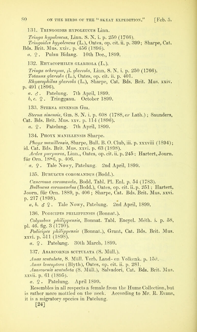 131. Teingoides hypoleucus Linn. Tringa hypoleucus, Linn. S. N. i. p. 250 (1766). Tringoides hypoleucus (L.), Oates, op. cit. ii. p. 399; Sharpe, Cat. Bcls. Brit. Mus. xxiv. p. 456 (1896). a. 5 . Pulau Biclang. 10th Dec., 1899. 132. Ehyacophilus glareola (L.). Tringa ocliropus, jj. glareola, Linn. S. N. i. p. 250 (1766). Totanus glareola (L.), Oates, op. cit. ii. p. 401. Rliyacophilus glareola (L.), Sharpe, Cat. Bds. Brit. Mus. xxiv. p. 49i (1896). a. d • Patelung. 7th April, 1899. h, c. 2 • Tringganu. October 1899. 133. Sterna sinensis Gm. Sterna sinensis, Gm. S. N. i. p. 608 (1788, ei' Lath.) ; Saunders, Cat. Bds. Brit. Mus. xxv. p. 114 (1896). a. 5 . Patelung. 7th April, 1899. 134. Phoyx manillensis Sharpe. Phoyx manillensis, Sharpe, Bull. B. 0. Club, hi. p. xxxviii (1894); id. Cat. Bds. Brit. Mus. xxvi. p. 63 (1898). Ardea purpurea, Linn., Oates, op. cit. ii. p. 245 ; Hartert, Journ. fiir Orn. 18*^6, p. 406. a. 2 • Tale Nowy, Patelung. 2nd April, 1899. 135. Bubulcus coromANDES (Bodd.). Cancroma coromanda, Bodd. Tabl. PI. Enl. p. 54 (1783). Bulbucus coromandus (Bodd.), Oates, op. cit. ii. p. 251; Hartert, Journ. fiir Orn. 1889, p. 406 ; Sharpe, Cat. Bds. Brit. Mus. xxvi. p. 217 (1898). a,h. 6 2' Tale Nowy, Patelung. 2nd April, 1899. 136. PoDiciPES PiiiLippENSis (Boiinat.). Columbus philippensis, Bonnat. Tabl. Encycl. Meth. i. p. 58, pi. 46. fig. 3 (1790). Podici^^es philippensis (Bonnat.), Grant, Cat. Bds. Brit. Mus. xxvi. p. 511 (1898). a. $ . Patelung. 30th March, 1899. 137. Asarcornis scutelata (S. Aliill.). Anas scutulata, S. Miill, A^erh. Land- en A'olkenk. p. 159. Anas leucoptera (Blyth), Oates, op. cit. ii. p. 281. Asarcornis scutulata (S, Miill.), Salvador!, Cat. Bds. Brit. Mus. xxvii. p. 61 (1895). a. 2 • Patelung. April 1899. Eesembles in all respects a female from the Hume Collection, but is rather more mottled on the neck. According to Mr. E. Evans, it is a migratory species in Patelung. [24]