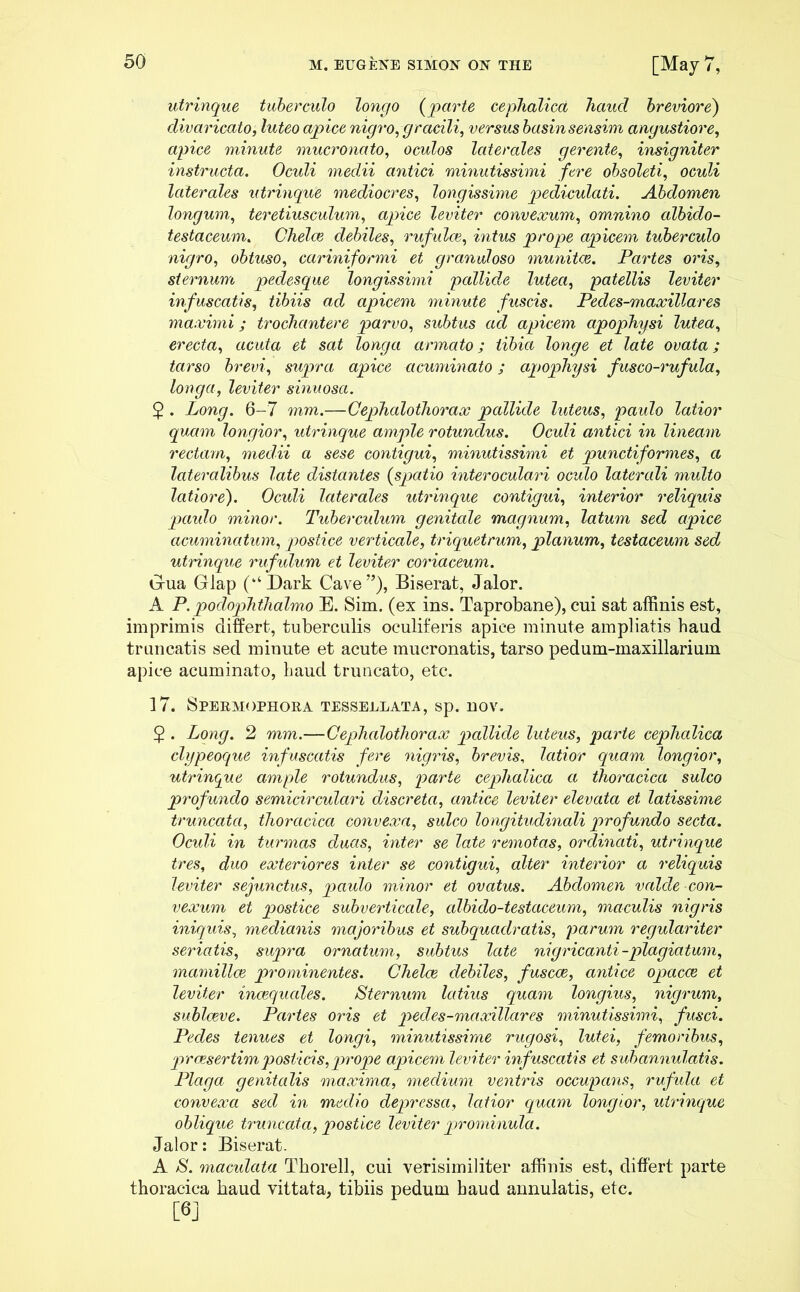 utrinque tuberculo longo (parte cephalica haucl breviore) divaricato, luteo apice nigro, gracili, versus basin sensim angustiore, apice minute mucronato, oculos laterales gerente, insigniter instructa. Oculi medii antici minutissimi fere obsoleti, oculi laterales utrinque mediocres, longissime pediculati. Abdomen longum, teretiusculum, apice leviter convexum, omnino albiclo- testaceum. Chelce debiles, rufulae, intus prope apicem tuberculo nigro, obtuso, cariniformi et granuloso munitae. Partes oris, sternum pedesque longissimi pallide lutea, patellis leviter infuscatis, tibiis ad apicem minute fuscis. Pedes-maxillares maximi; trochantere parvo, subtus ad apicem apophysi lutea, erecta, acuta et sat longa armato; tibia longe et late ovata; tarso brevi, supra apice acuminato; apophysi fusco-rufula, longa, leviter sinuosa. 2 . Long. 6-7 mm.—Cephalothorax pallide luteus, paulo latior quam longior, utrinque ample rotundus. Oculi antici in lineam rectam, medii a sese contigui, minutissimi et punctiformes, a lateralibus late distantes (,spatio inter oculari oculo laterali multo latiore). Oculi laterales utrinque contigui, interior reliquis paulo minor. Tuberculum genitale magnum, latum sed apice acuminatum, postice verticale, triquetrum, planum, testaceum sed utrinque rufulum et leviter coriaceum. G-ua Glap (‘‘Dark Cave”), Biserat, Jalor. A P. podophthalmo E. Sim. (ex ins. Taprobane), cui sat affinis est, imprimis differt, tuberculis oculiferis apice minute ampliatis haud truncatis sed miuute et acute mucronatis, tarso pedum-maxillarium apice acuminato, haud truncato, etc. 17. Spermophora tessellata, sp. nov. $ . Long. 2 mm.—Cephalothorax pallide luteus, parte cephalica clypeoque infuscatis fere nigris, brevis, latior quam longior, utrinque ample rotundus, parte cephalica a thoracica sulco profundo semicirculari discreta, antice leviter elevata et latissime truncata, thoracica convexa, sulco longitudinali profundo secta. Oculi in turmas duas, inter se late remotas, ordinati, utrinque tres, duo exteriores inter se contigui, alter interior a reliquis leviter sejunctus, paulo minor et ovatus. Abdomen valde con- vexum et postice subverticale, albido-testaceum, maculis nigris iniquis, medianis majoribus et subquaclratis, parum regulariter seriatis, supra ornatum, subtus late nigricanti-plagiatum, mamillae prominentes. Chelce debiles, fuscce, antice opacce et leviter inaequales. Sternum latius quam longius, nigrum, sublceve. Partes oris et pedes-maxillares minutissimi, fusci. Pedes tenues et longi, minutissime rugosi, lutei, femoribus, praesertim posticis, prope apicem leviter infuscatis et subannulatis. Plaga genitalis maxima, medium ventris occupans, rufula et convexa sed in medio depressa, latior quam longior, utrinque oblique truncata, postice leviter prominula. Jalor: Biserat. A S. maculata Tborell, cui verisimiliter affinis est, differt parte thoracica haud vittata, tibiis pedum haud annulatis, etc. [6]