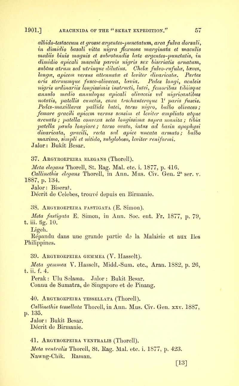 albido-testaceum et grosse argenteo-punctatum, area fulva dorsali, in dimidio basali vitta nigra flexuosa marginata et maculis mediis binis magnis et subrotundis laete argenteo-punctatis, in dimidio apicali maculis parvis nigris sex biseriatis ornatum, subtus atrum sed utrinque dilutius. Chelce fulvo-rufulce, laeves, longae, apicem versus attenuatae et leviter divaricatae. Partes oris sternumque fusco-olivacea, laevia. Pedes longi, aculeis nigris ordinariis longissimis instructi, lutei, femoribus tibiisque annulo medio annuloque apicali olivaceis vel nigricantibus notatis, patellis cunctis, coxa trochantereque V paris fuscis. Pedes-maxillares pallide lutei, tarso nigro, bulbo olivaceo; femore gracili apicem versus sensim et leviter ampliato atque arcuato; patella convexa seta longissima supra munita; tibia patella paulo longiore; tarso ovato, intus ad basin apophysi divaricata, gracili, recta sed apice uncata armato; bulbo maximo, simpli et nitido, subgloboso, leviter reniformi. Jalor: Bukit Besar. 37. Argyroepeira elegans (Thorell). Meta elegans Thorell, St. Bag. Mal. etc. i. 1877, p. 416. Callinethis elegans Thorell, in Ann. Mus. Civ. Gen. 2a ser. v. 1887, p. 134. Jalor: Biserat. Deerit de Celebes, trouvd depuis en Birmanie. 38. Argyroepeira fastigata (E. Simon). Meta fastigata E. Simon, in Ann. Soc. ent. Er. 1877, p. 79, t. iii. hg. 10. Ligeh. Bepandu dans une grande partie de la Malaisie et aiix lies Philippines. 39. Argyroepeira gemmea (V. Hasselt). Meta gemmea V. Hasselt, Midd.-Sum. etc., Aran. 1882, p. 26, t. ii. f. 4. Perak : Ulu Selama. Jalor : Bukit Besar. Connu de Sumatra, de Singapore et de Pinang. 40. Argyroepeira tessellata (Thorell). Callinethis tessellata Thorell, in Ann. Mus. Civ. Gen. xxv. 1887, p. 135. Jalor: Bukit Besar. Deerit de Birmanie. 41. Argyroepeira ventralis (Thorell). Meta, ventralis Thorell, St. Bag. Mal. etc. i. 1877, p. 423. Nawng-Chik. Barnan. [13]