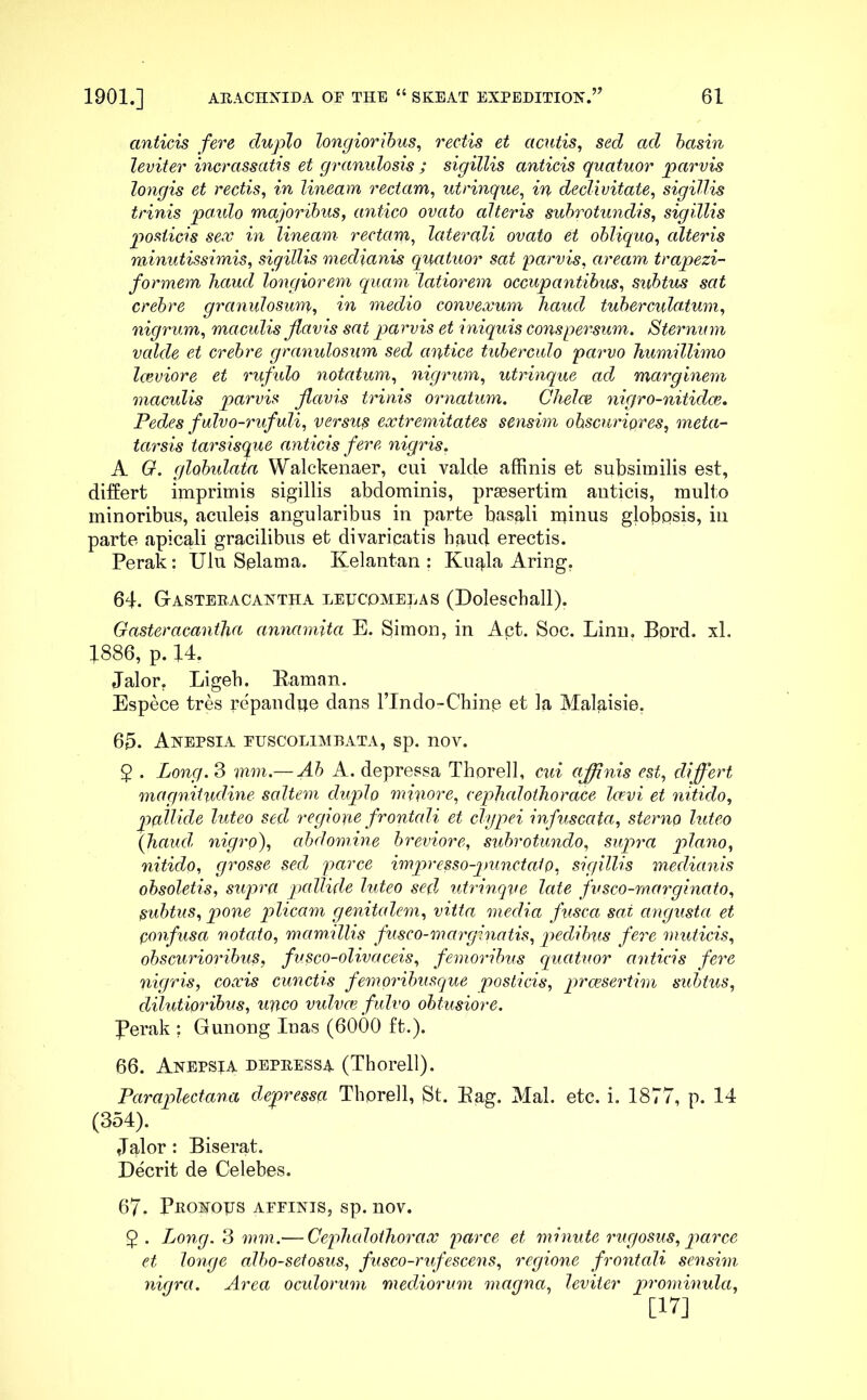 anticis fere cluplo longioribus, rectis et acutis, sed ad basin leviter incrassatis et granulosis ; sigillis anticis quatuor parvis longis et rectis, in lineam rectam, utrinque, in declivitate, sigillis trinis paulo majoribus, antico ovato alteris subrotundis, sigillis posticis sex in lineam rectam, laterali ovato et obliquo, alteris minutissimis, sigillis medianis quatuor sat parvis, aream trapezi- formem haud longiorem quam latiorem occupantibus, subtus sat crebre granulosum, in medio convexum haud tuberculatum, nigrum, maculis flavis sat parvis et iniquis conspersum. Sternum valde et crebre granulosum sed antice tuberculo parvo humillimo laeviore et rufulo notatum, nigrum, utrinque ad marginem maculis parvis flavis trinis ornatum. Chelce nigro-nitidce. Pedes fulvo-rufuli, versus extremitates sensim obscuriores, meta- tarsis tarsisque anticis fere nigris. A G. globulata Walckenaer, cui valde affinis et subsimilis est, differt imprimis sigillis abdominis, praesertim anticis, multo minoribus, aculeis angularibus in parte basali minus globosis, iu parte apicali gracilibus et divaricatis baud erectis. Perak: Ulu Splama. Kelantan ; Kuala Aring. 64. Gasteracantha leecomelas (Dolescball). Gasteracantha annamita E. Simon, in Act. Soc. Linn. Bprd. xl. 4886, p. 14. Jalor. Ligeb. Eaman. Espece tr&s repandue dans lTndo-Chinp et la Malaisie. 65. Anepsia fuscolimbata, sp. nov. 2 . Long. 3 mm.— Ab A. depressa Thorell, cui affinis est, differt magnitudine saltem duplo minore, cephalothorace Ice vi et nitido, pallide luteo sed regione frontali et clypei infuscata, sterno luteo (haud nigro), abdomine breviore, subrotundo, supra plano, nitido, grosse sed parce impresso-punctaip, sigillis medianis obsoletis, supra pallide luteo sed utrinque late fusco-marginato, subtus, pone plicam genitalem, vitta meclia fusca sai angusta et confusa notato, mamillis fusco-marginatis, pedibus fei'e muticis, obscurioribus, fusco-olivaceis, femoribus quatuor anticis fere nigris, coxis cunctis femoribusque posticis, praesertim subtus, dilutioribus, unco vulvae fulvo obtusiore. Perak ; Gunong Inas (6000 ft.). 66. Anepsia depressa (Thorell). Pciraplectana depressa Thorell, St. Eag. Mal. etc. i. 1877, p. 14 (354). Jalor: Biserat. Deerit de Celebes. 67- Pronoijs affinis, sp. nov. 2 • Long. 3 mm.— Cephalothorax parce et minute rugosus, parce et longe albo-setosus, fusco-rufescens, regione frontali sensim nigra. Area oculorum mediorum magna, leviter prominula, [17]