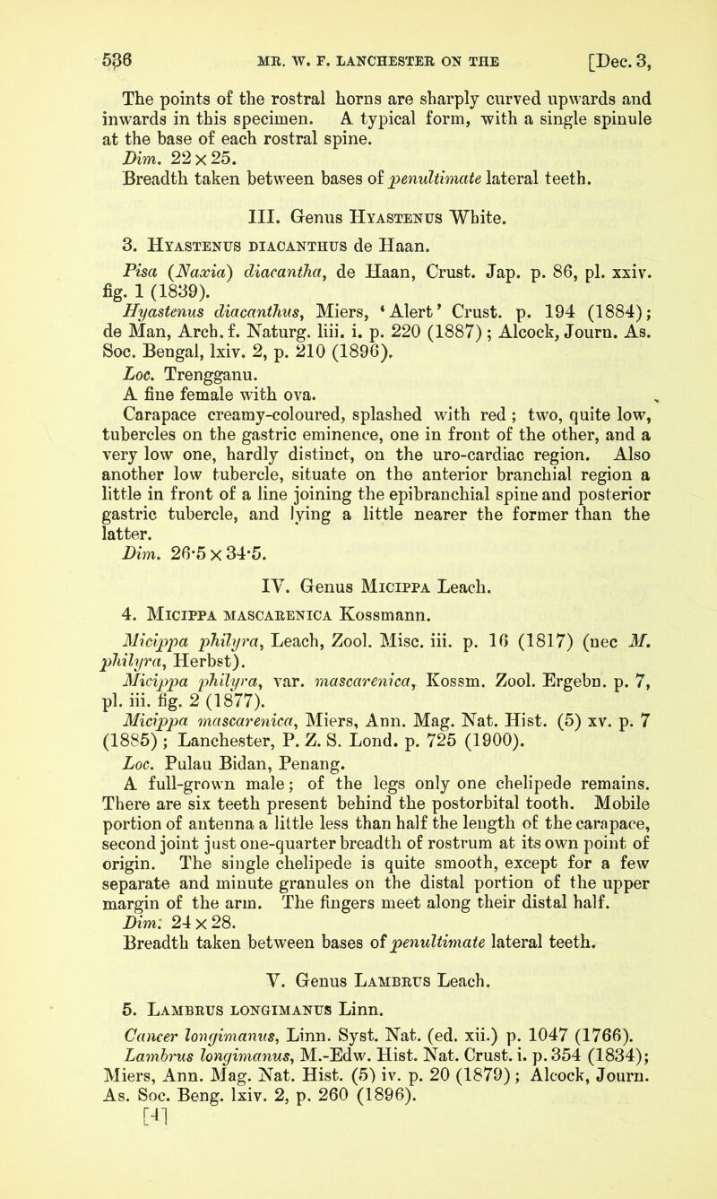 The points of the rostral horns are sharply curved upwards and inwards in this specimen. A typical form, with a single spinule at the base of each rostral spine. Dim. 22x25. Breadth taken between bases oi penultimate lateral teeth. III. Genus Hyastenus White. 3. Hyastenus diacanthus de Haan. Pisa {Naxia) diacantha^ de Haan, Crust. Jap. p. 86, pi. xxiv. fig. 1 (1839). Hyastenus diacanthus^ Miers, ‘Alert’ Crust, p. 194 (1884); de Man, Arch. f. Naturg. liii. i. p. 220 (1887) ; Alcock, Journ. As. Soc. Bengal, Ixiv. 2, p. 210 (1896). Loc. Trengganu. A fine female with ova. Carapace creamy-coloured, splashed with red ; two, quite low, tubercles on the gastric eminence, one in front of the other, and a very low one, hardly distinct, on the uro-cardiac region. Also another low tubercle, situate on the anterior branchial region a little in front of a line joining the epibranchial spine and posterior gastric tubercle, and lying a little nearer the former than the latter. Dim. 26*5 x 34*5. IV. Genus Micippa Leach. 4. Micippa mascarenica Kossmann. Micippa philyra, Leach, Zool. Misc. iii. p. 16 (1817) (uec M. pliilyra, Herbst). Micippa philym^ var. mascarenica.^ Kossm. Zool. Ergebn. p. 7, pi. iii. fig. 2 (1877). Micippa mascarenica., Miers, Ann. Mag. Nat. Hist. (5) xv. p. 7 (1885) ; Lanchester, P. Z. S. Lond. p. 725 (1900). Loc. Pulau Bidan, Penang. A full-grown male; of the legs only one chelipede remains. There are six teeth present behind the postorbital tooth. Mobile portion of antenna a little less than half the length of the carapace, second joint just one-quarter breadth of rostrum at its own point of origin. The single chelipede is quite smooth, except for a few separate and minute granules on the distal portion of the upper margin of the arm. The fingers meet along their distal half. Dim: 24 X 28. Breadth taken between bases of penultimate lateral teeth. V. Genus Lambrus Leach. 5. Lambrus longimanus Linn. Cancer longimanus., Linn. Syst. Nat. (ed. xii.) p. 1047 (1766). Lambrus longimanus, M.-Edw. Hist. Nat. Crust, i. p.354 (1834); Miers, Ann. Mag. Nat. Hist. (5) iv. p. 20 (1879); Alcock, Journ. As. Soc. Beng. Ixiv. 2, p. 260 (1896). [U